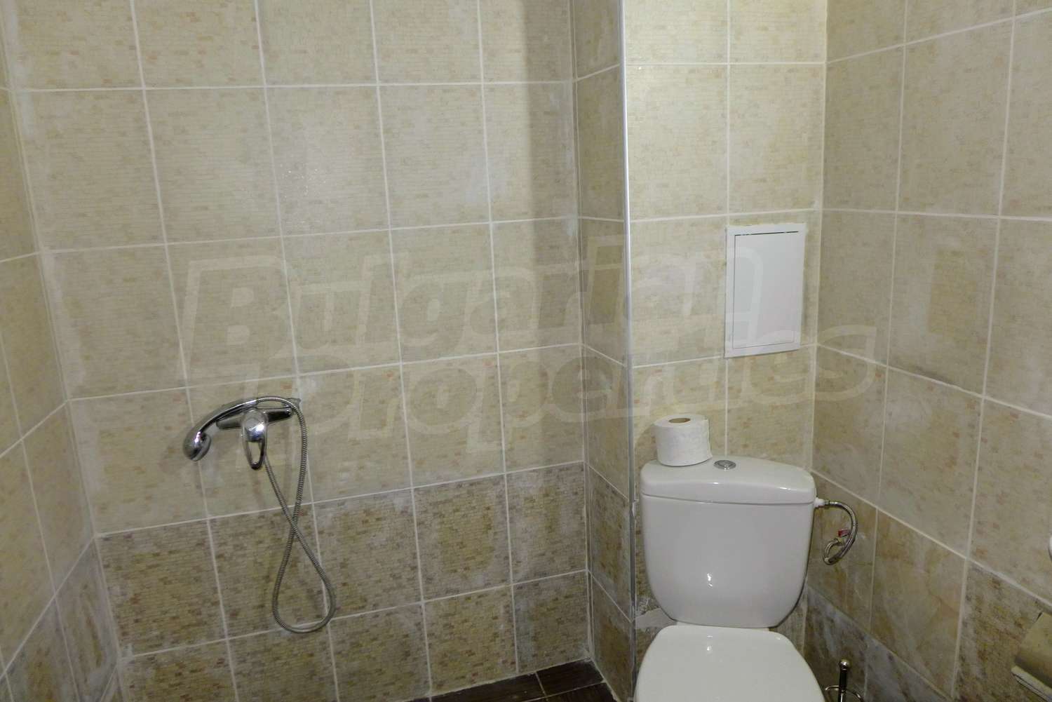 Gallery Picture 16