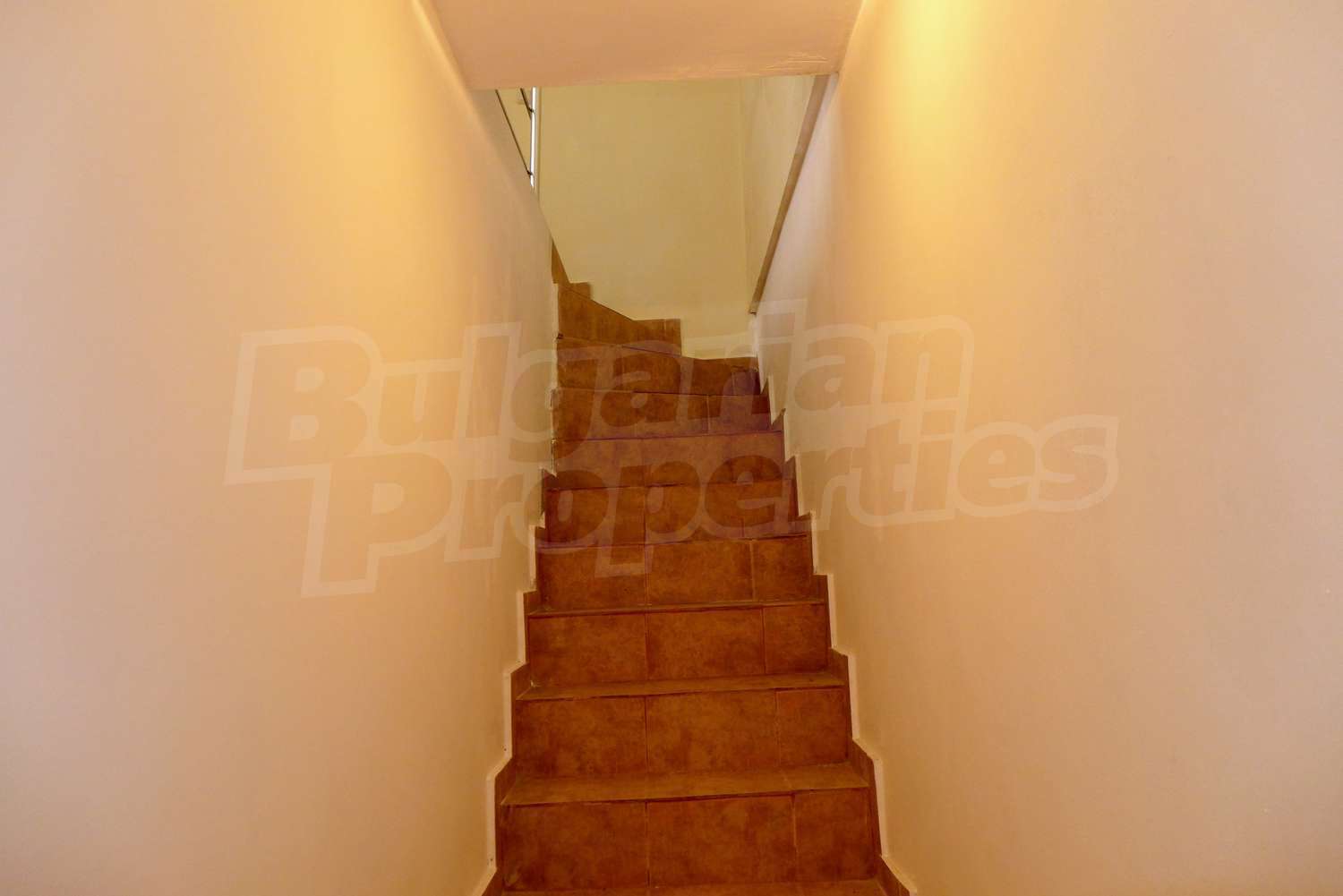 Gallery Picture 19