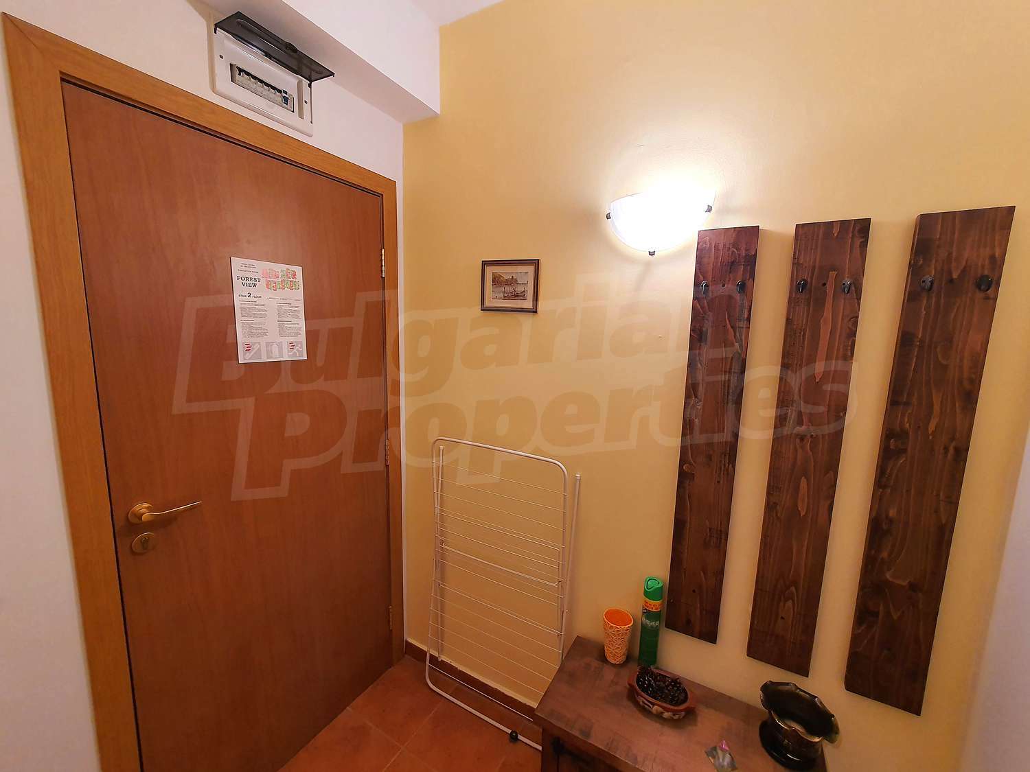 Gallery Picture 19