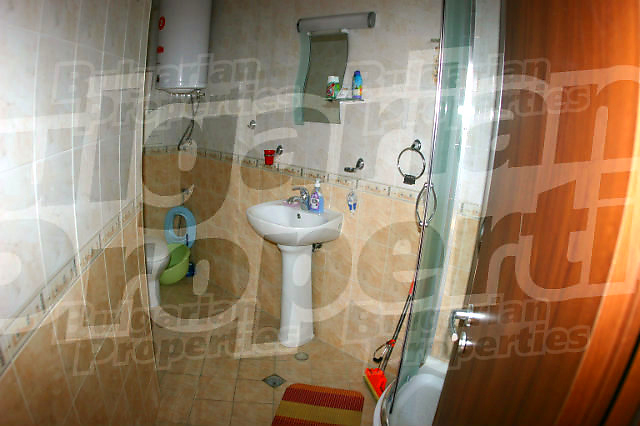 Gallery Picture 11