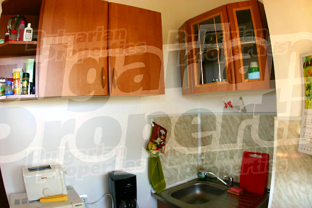 Gallery Picture 12