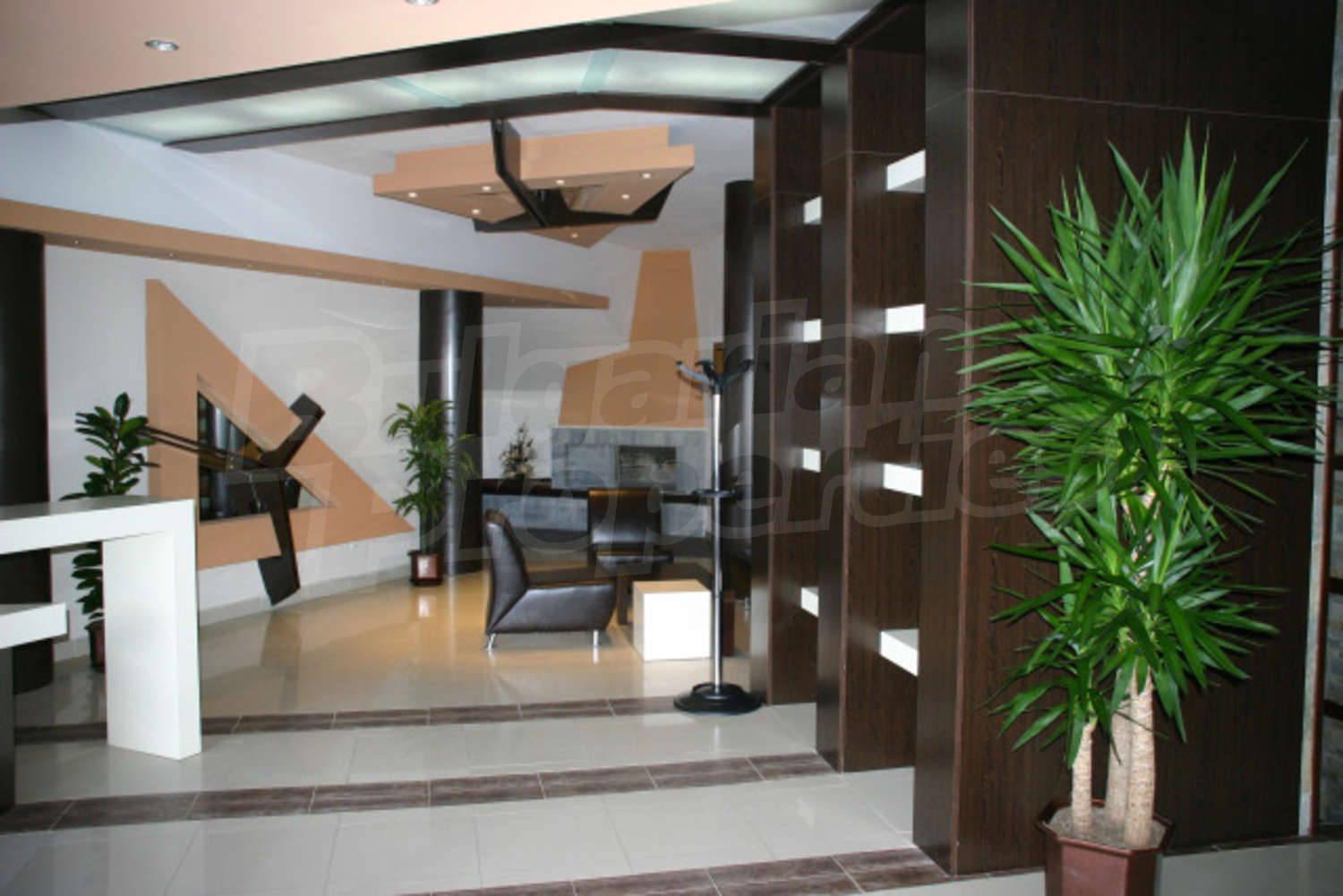 Gallery Picture 18