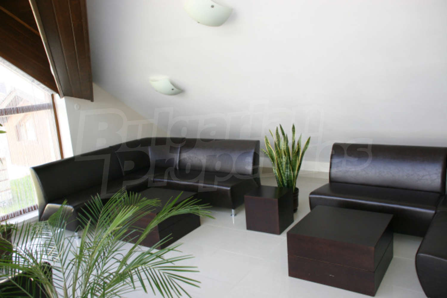 Gallery Picture 19
