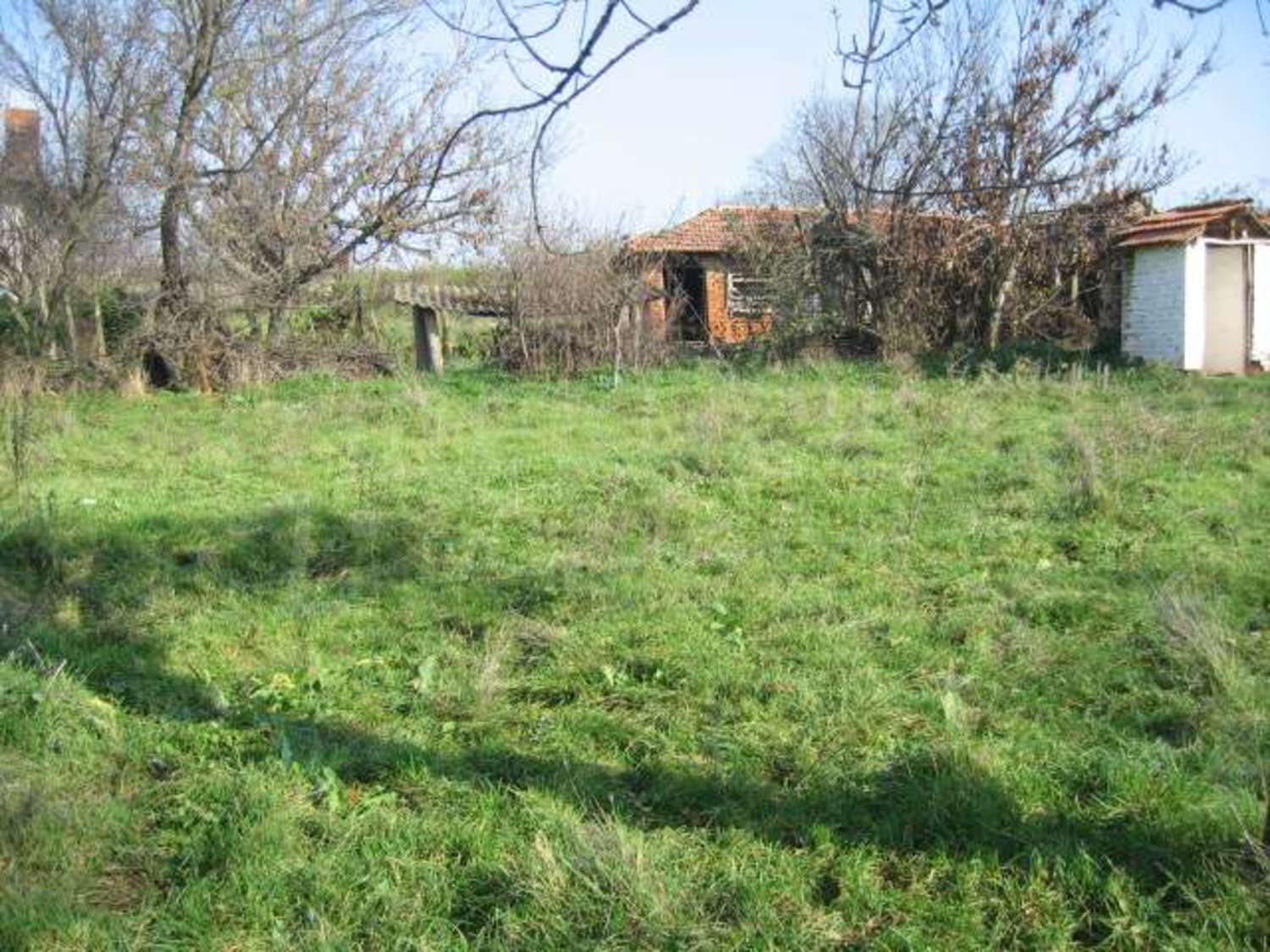 Gallery Picture 10