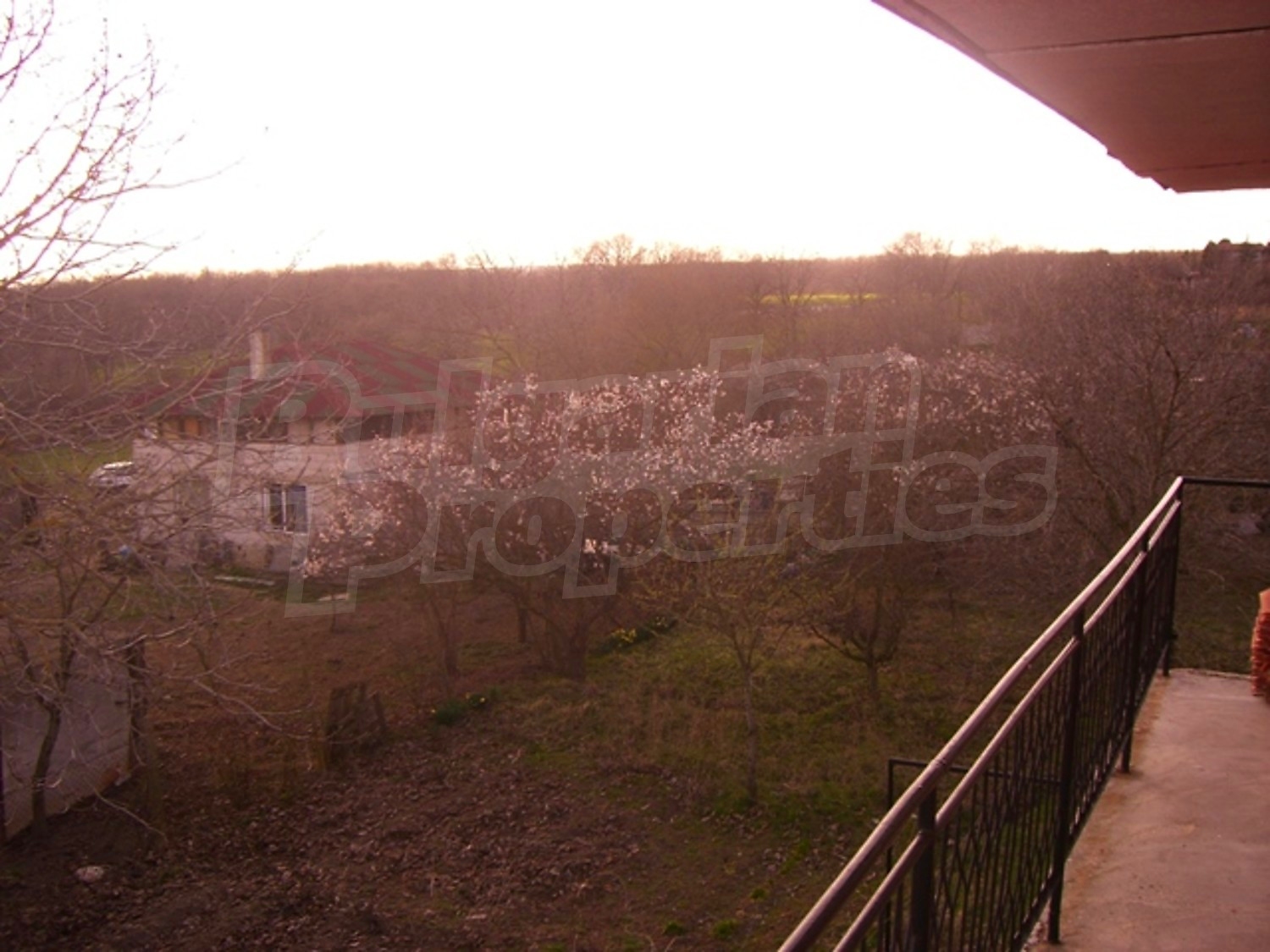 Gallery Picture 12