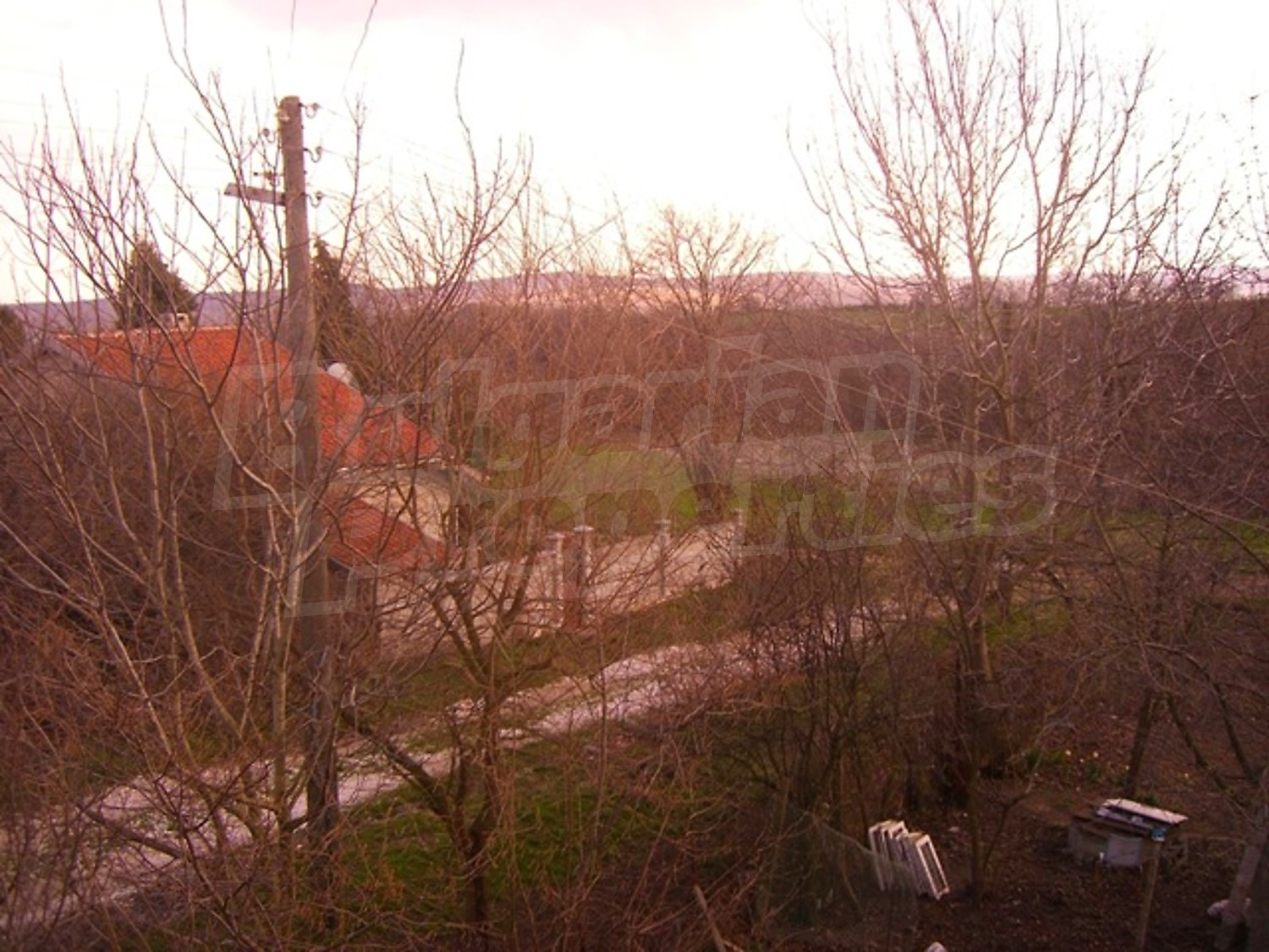 Gallery Picture 13