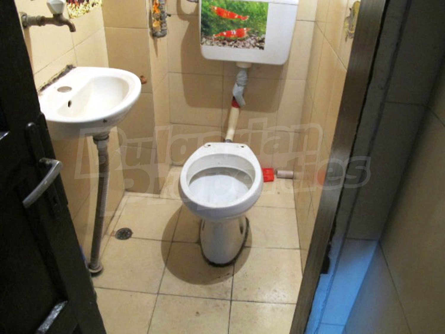 Gallery Picture 7