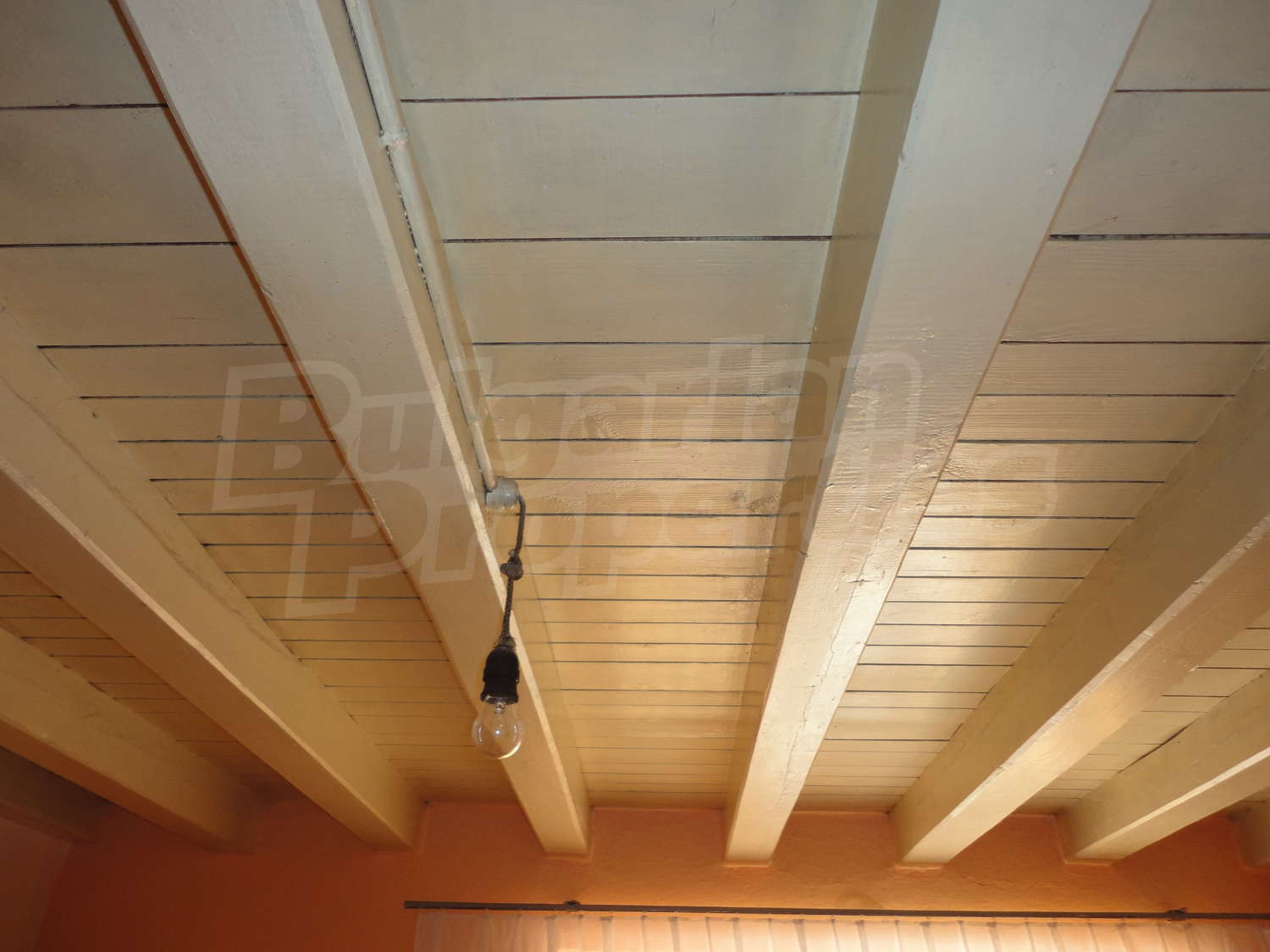 Gallery Picture 16