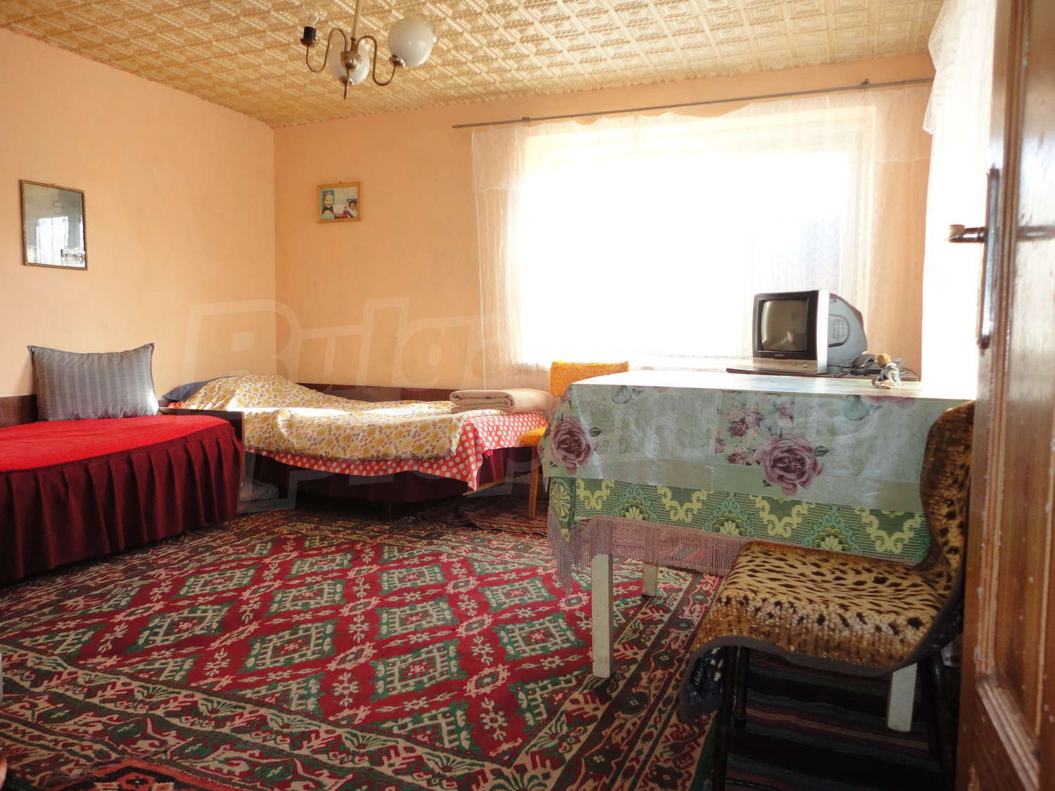 Gallery Picture 19