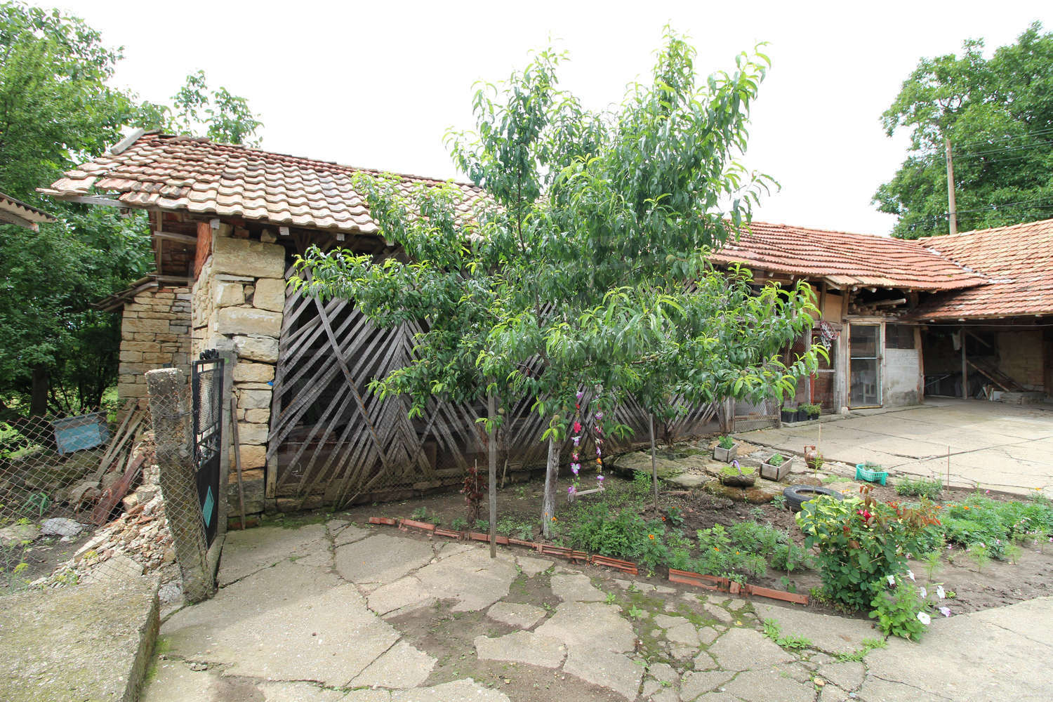 Gallery Picture 11