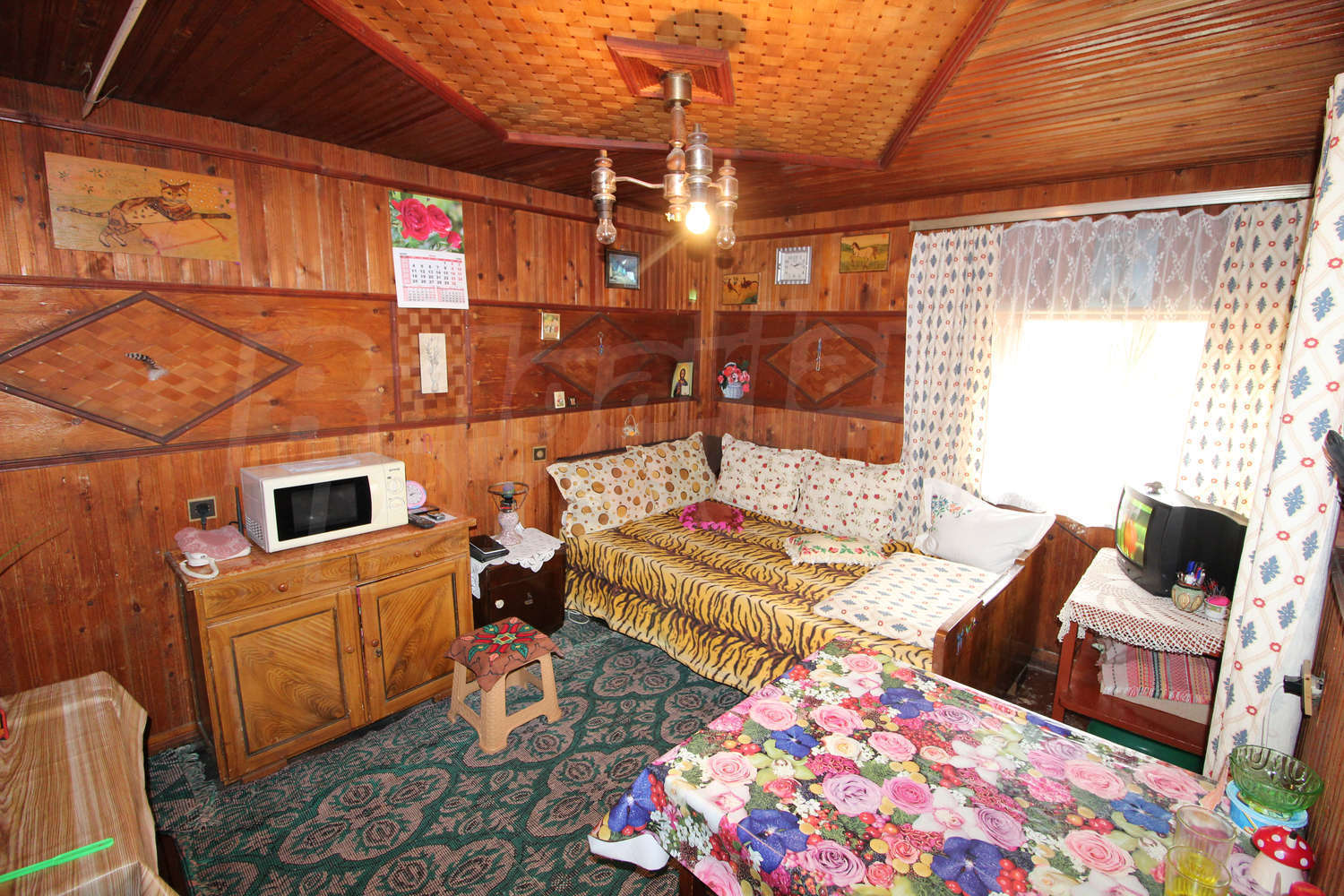 Gallery Picture 13