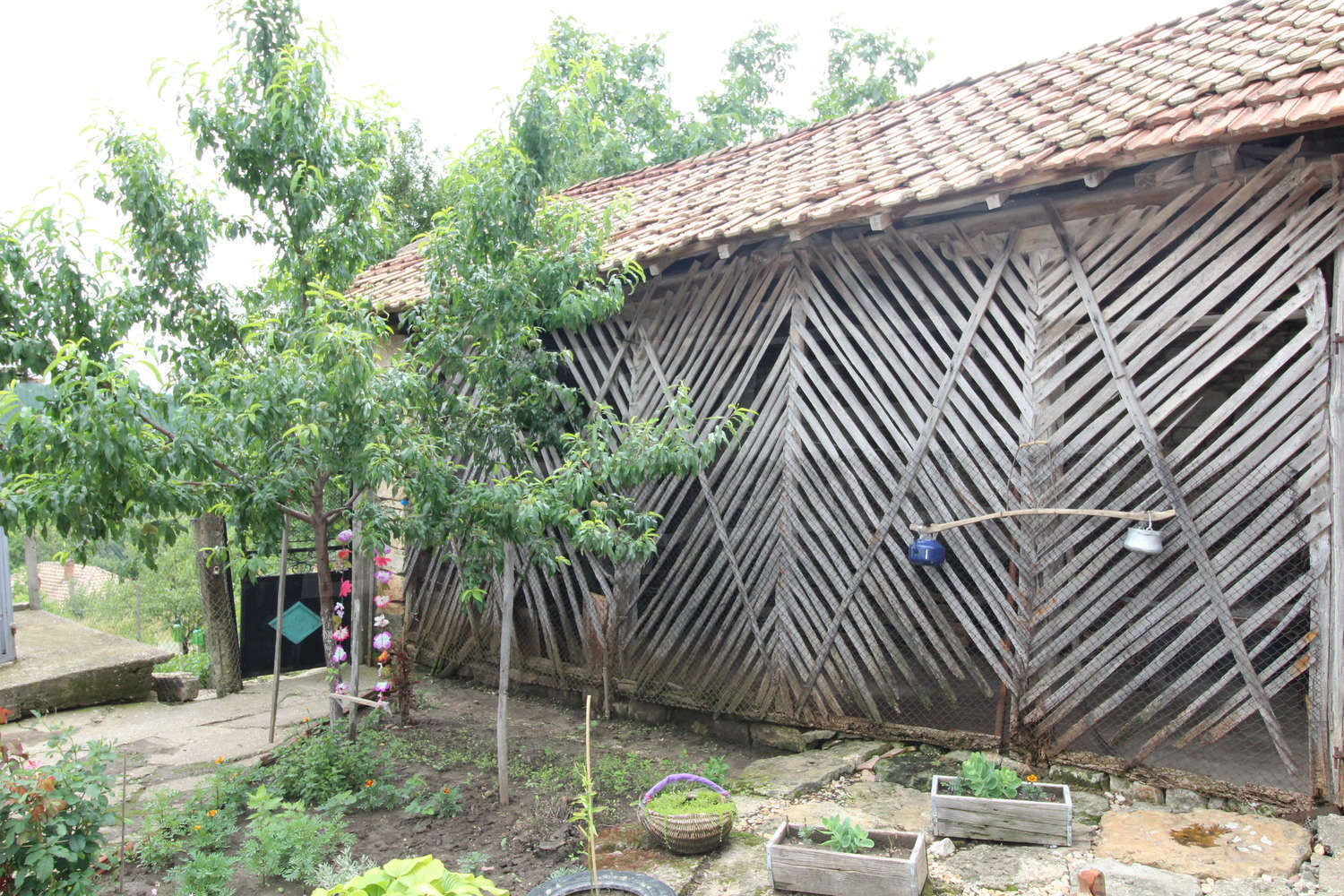 Gallery Picture 17