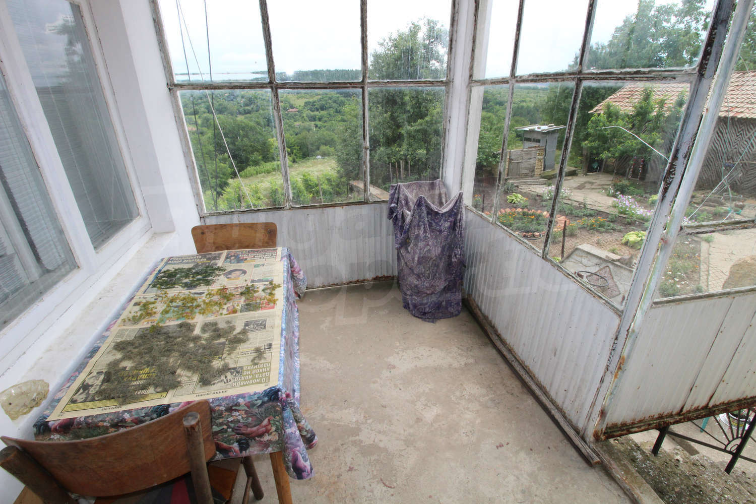 Gallery Picture 19