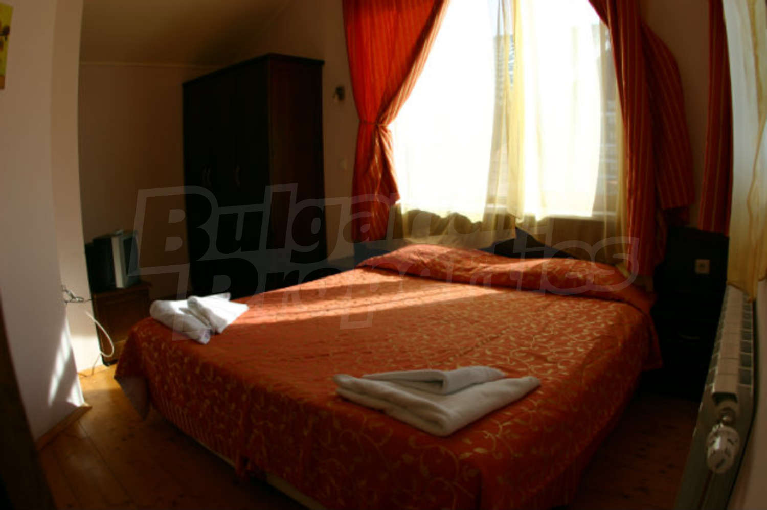 Gallery Picture 19