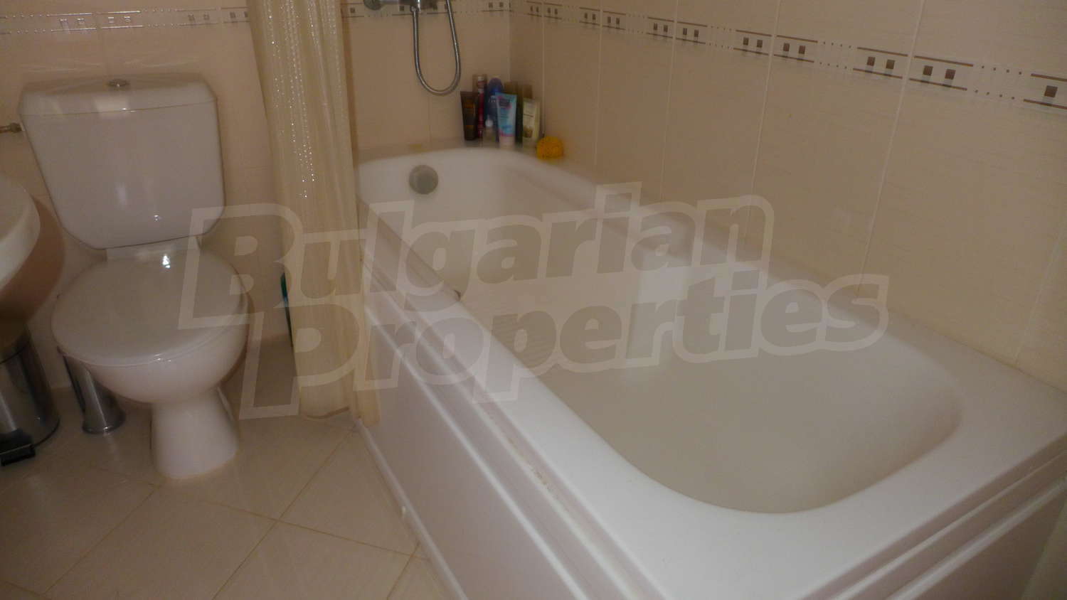 Gallery Picture 32