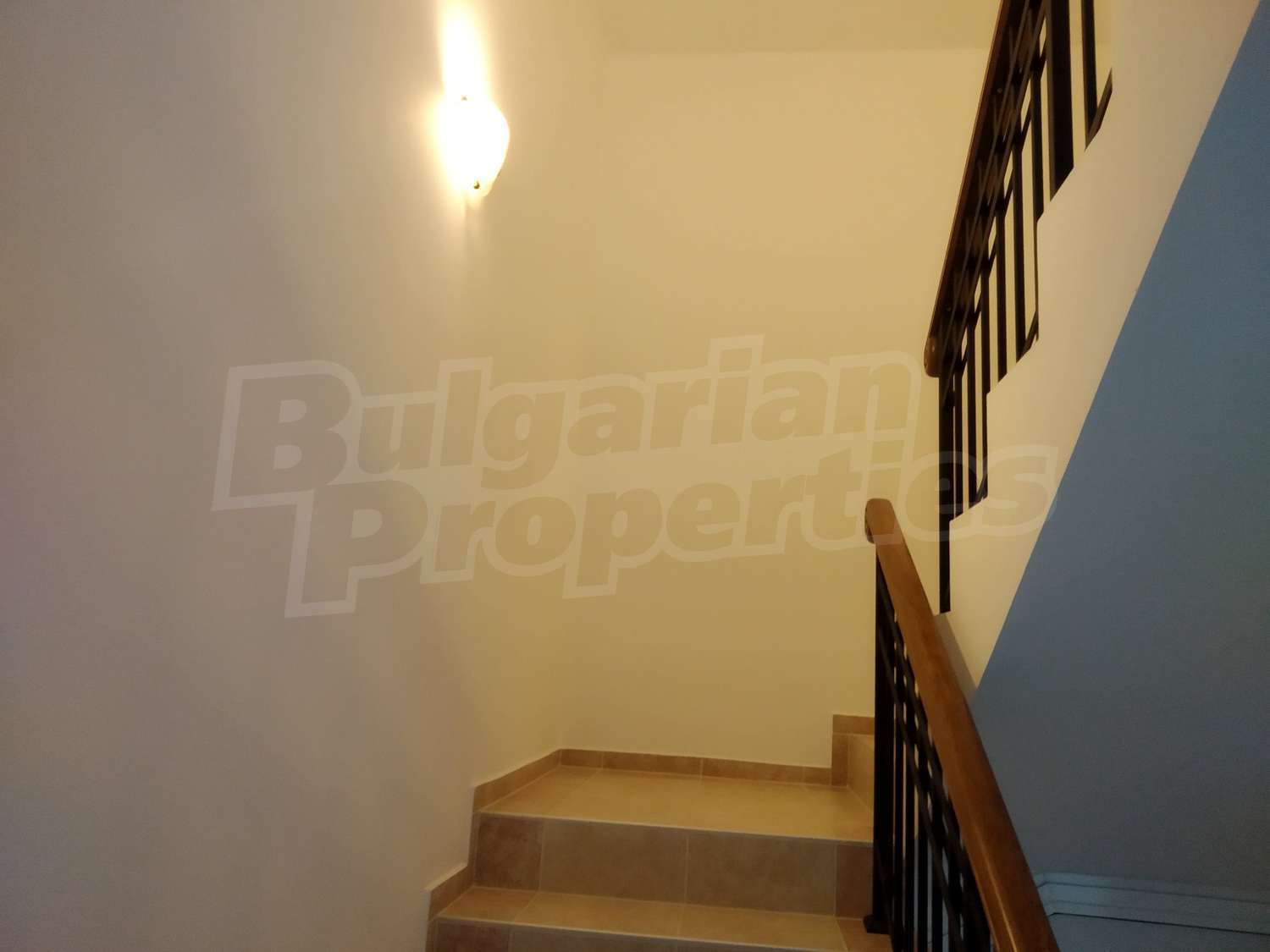Gallery Picture 15