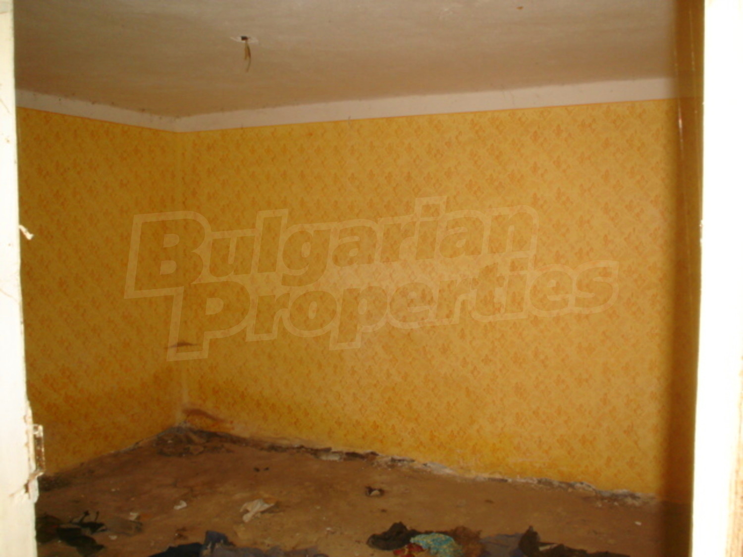 Gallery Picture 6