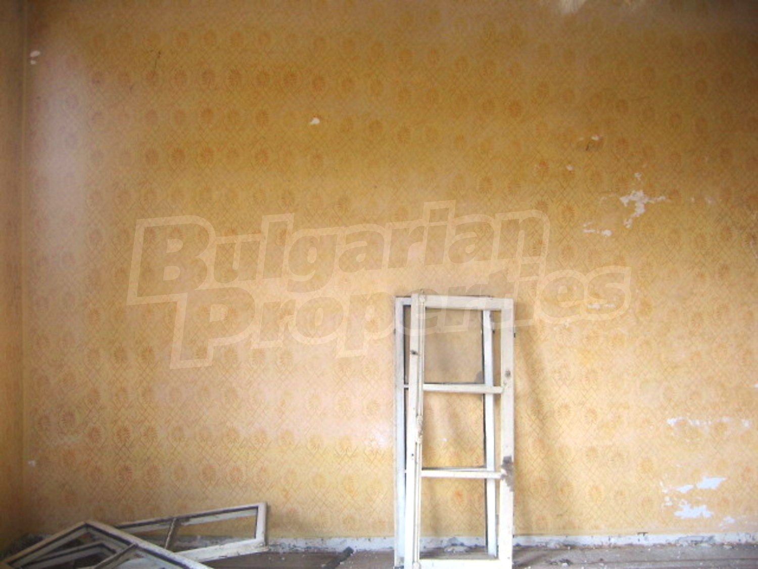 Gallery Picture 7