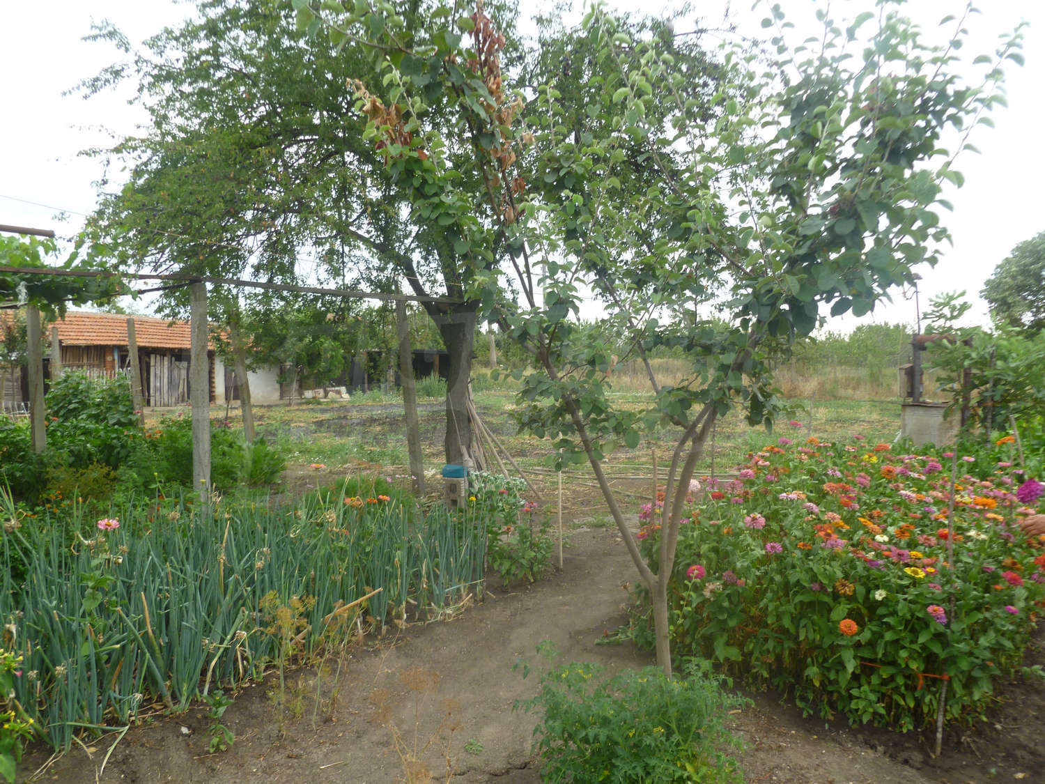 Gallery Picture 16