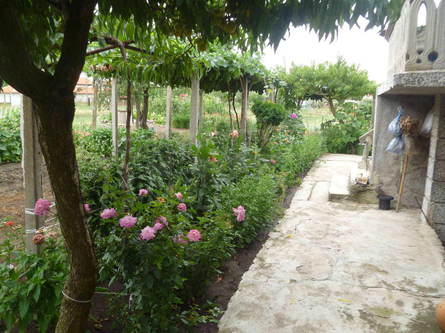 Gallery Picture 6