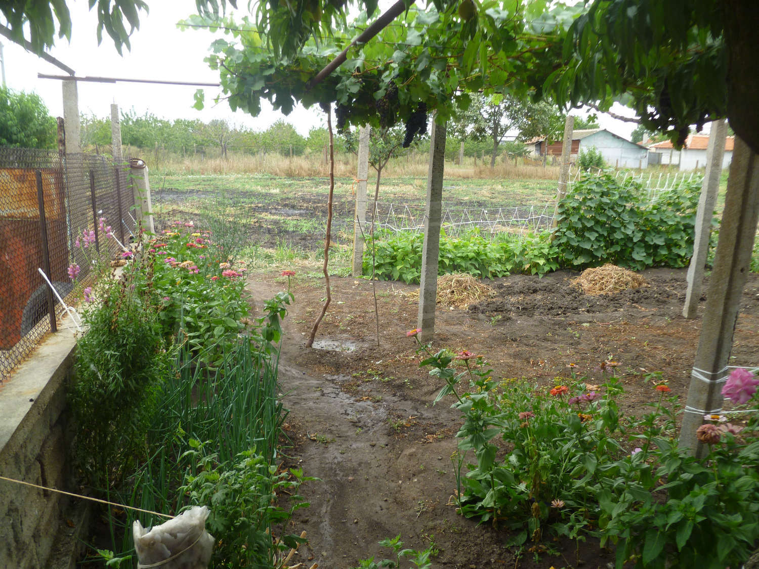 Gallery Picture 7