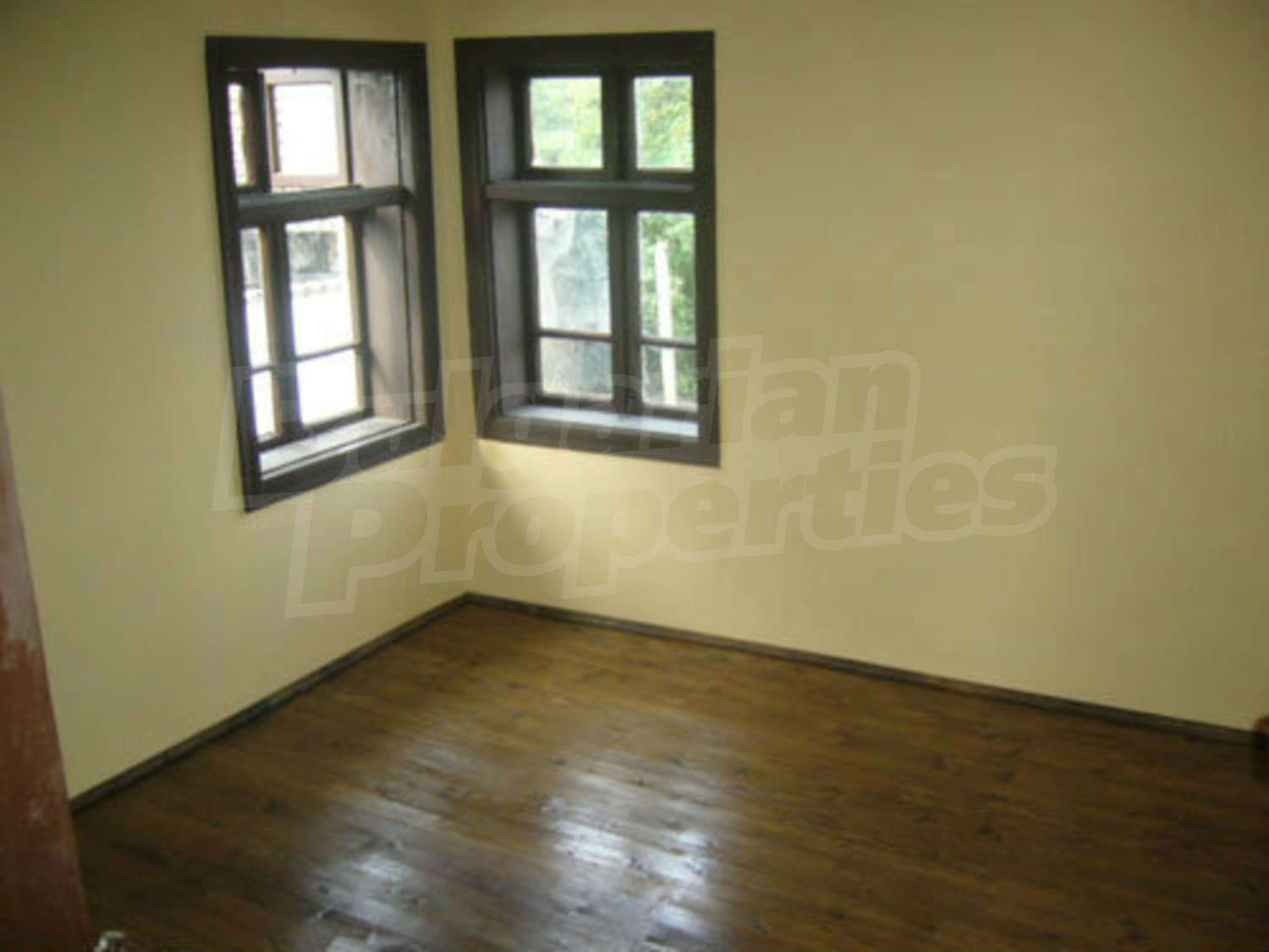 Gallery Picture 11