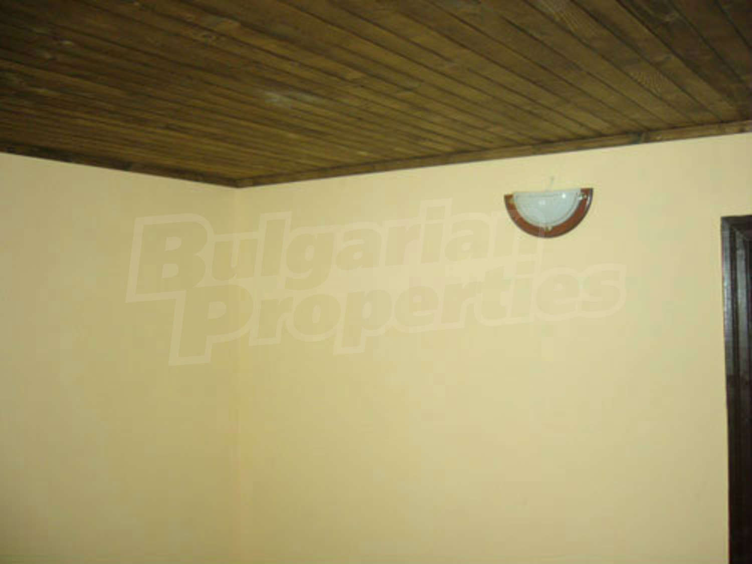 Gallery Picture 12