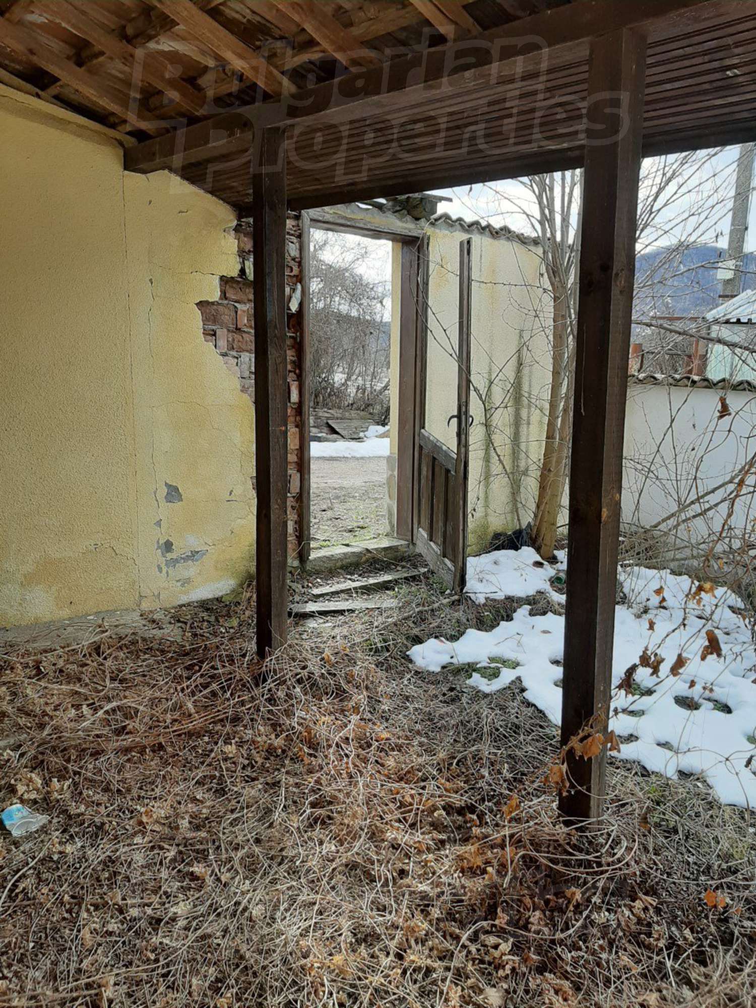 Gallery Picture 16