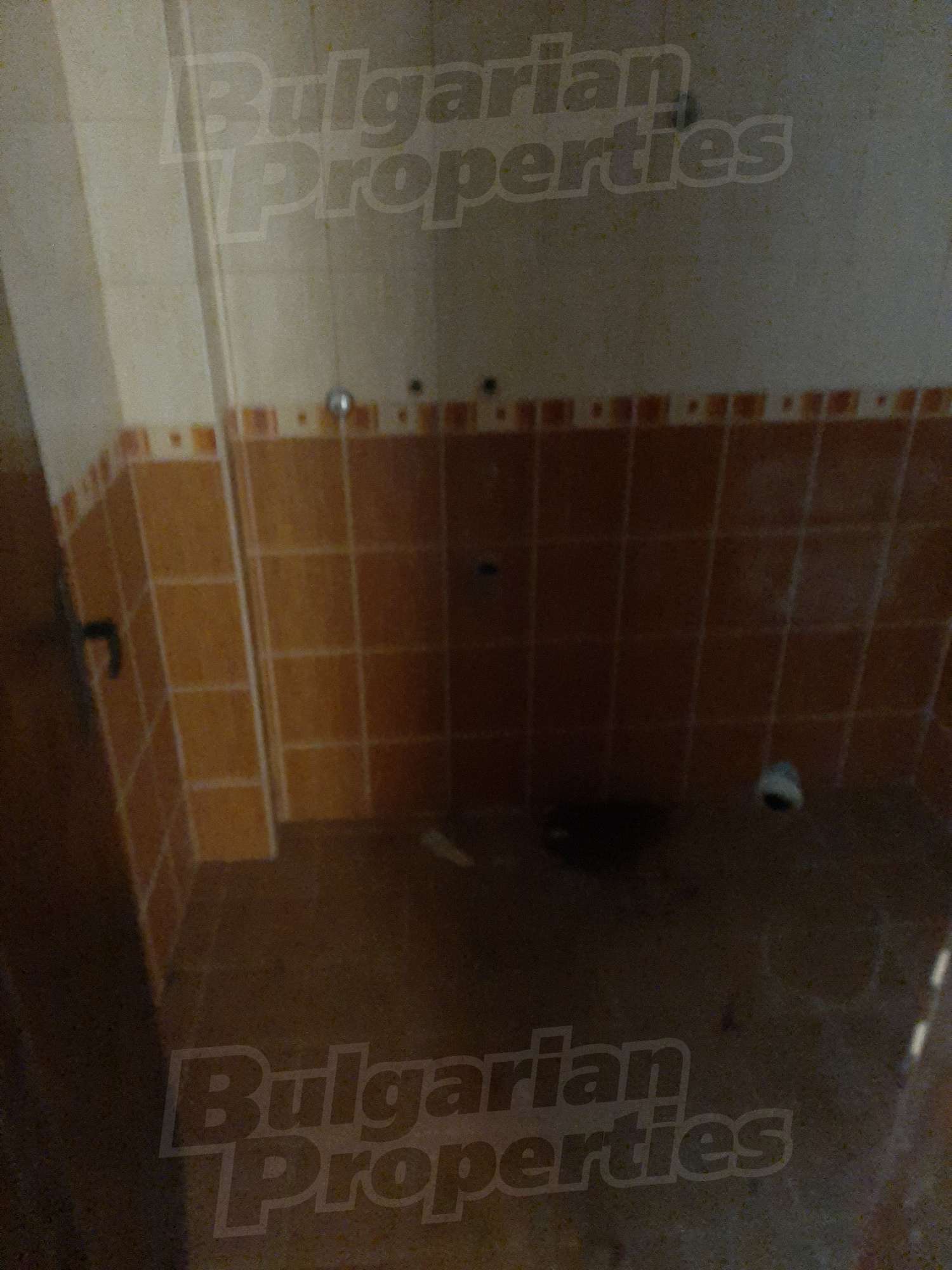 Gallery Picture 17