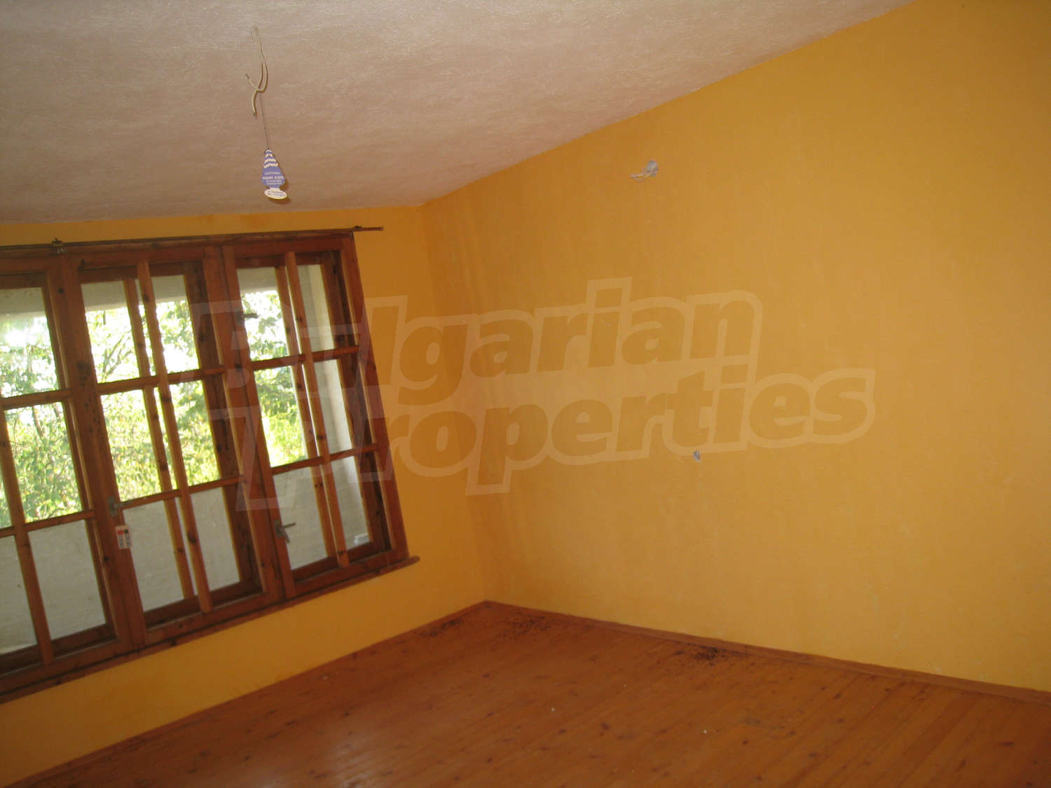 Gallery Picture 10
