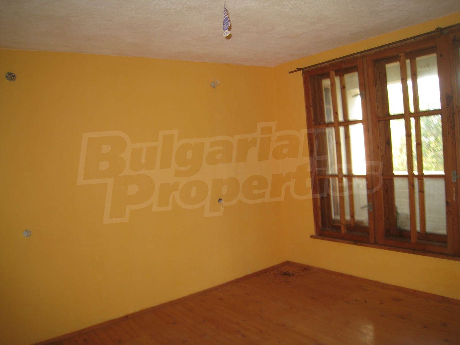Gallery Picture 11