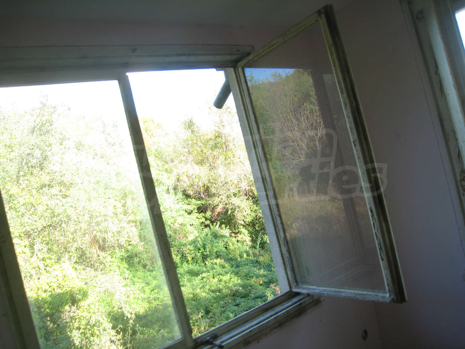 Gallery Picture 15