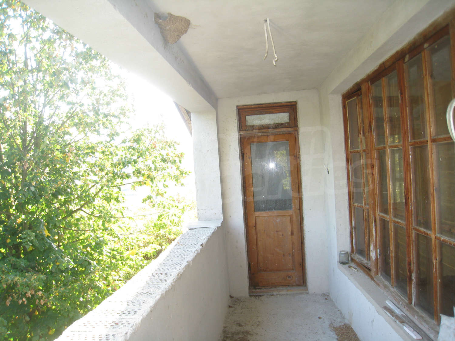 Gallery Picture 16