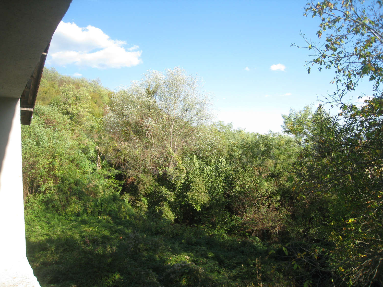 Gallery Picture 19