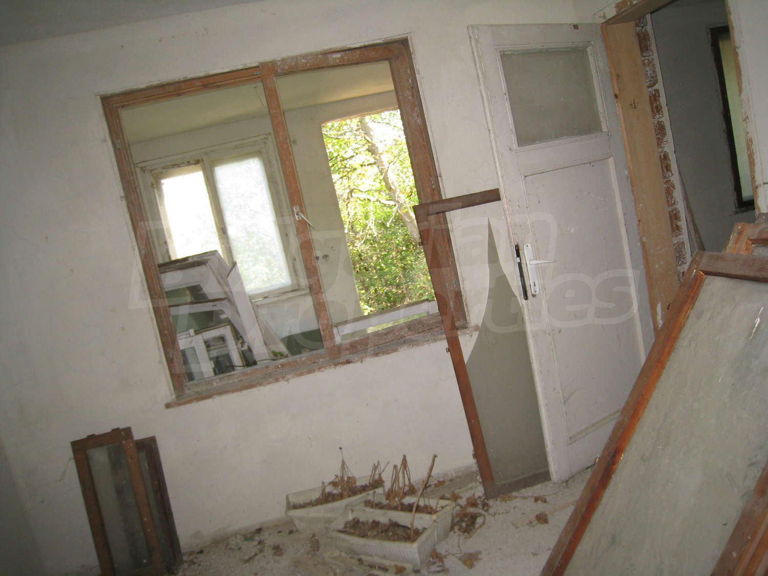 Gallery Picture 27