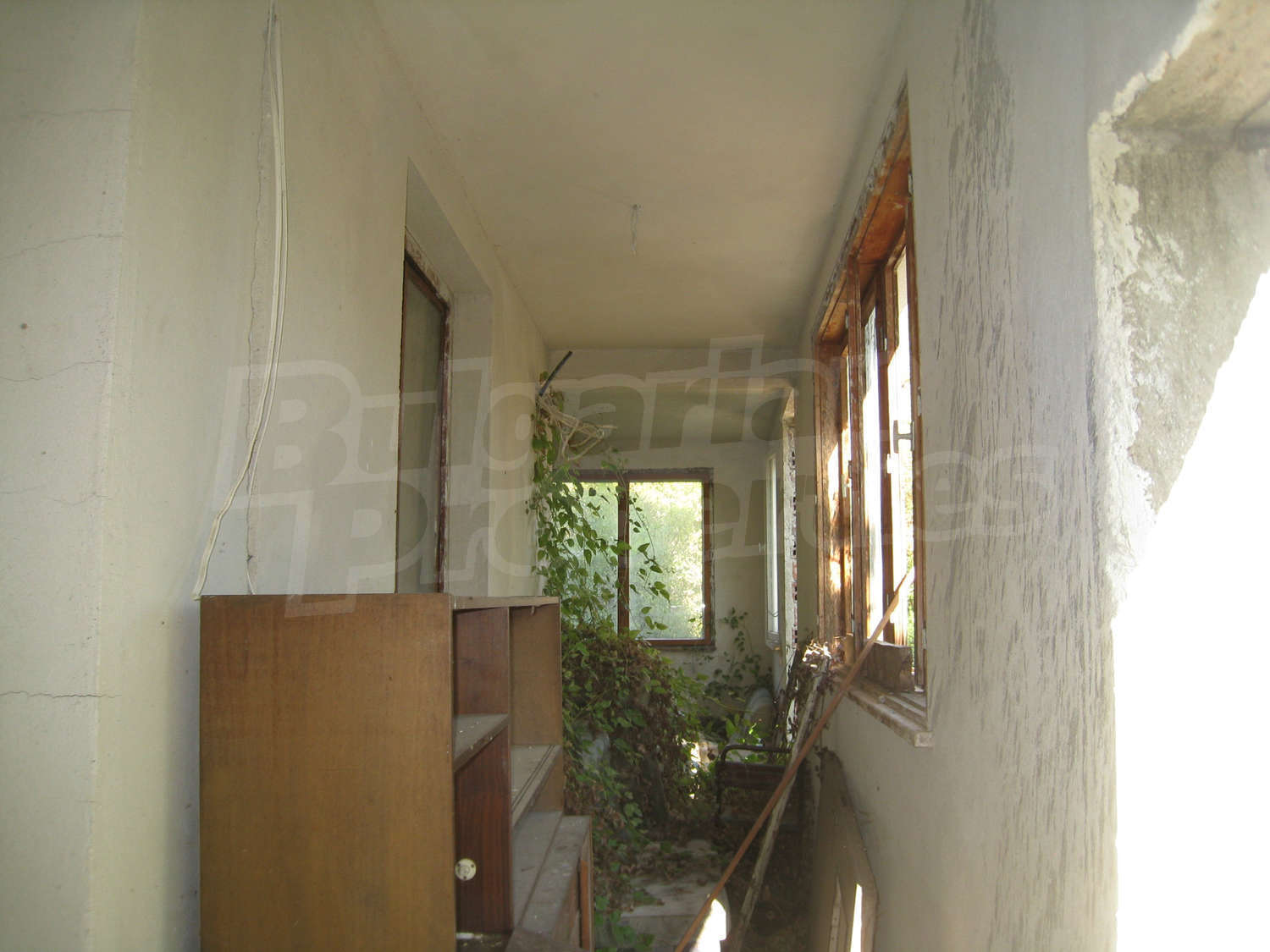 Gallery Picture 30