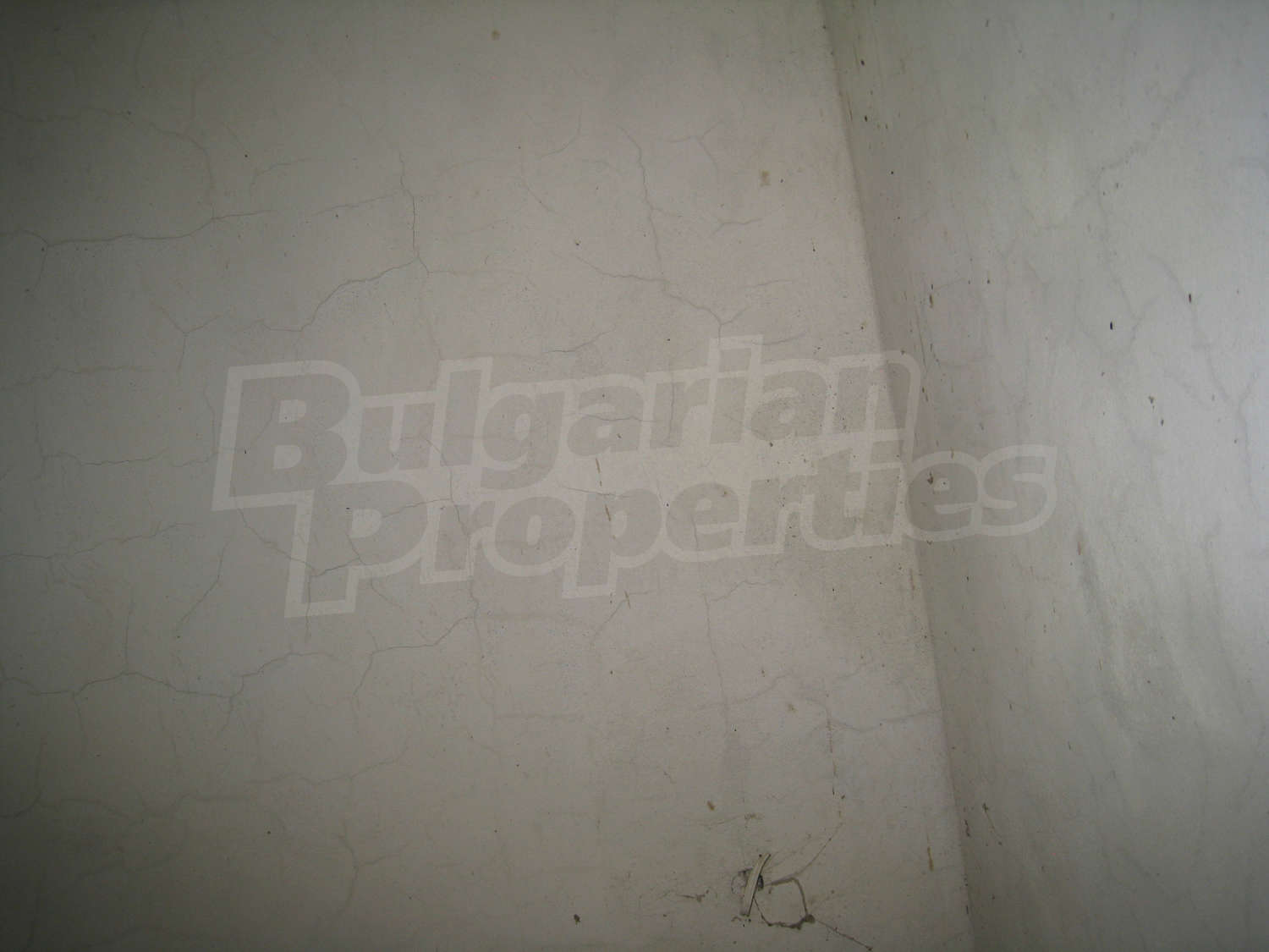Gallery Picture 33