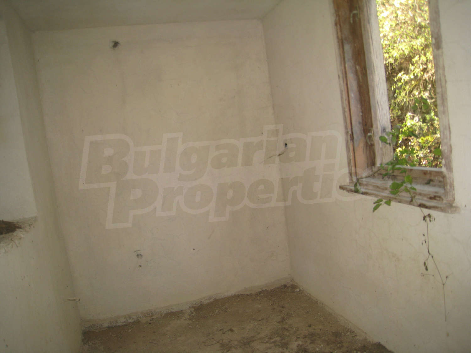 Gallery Picture 34
