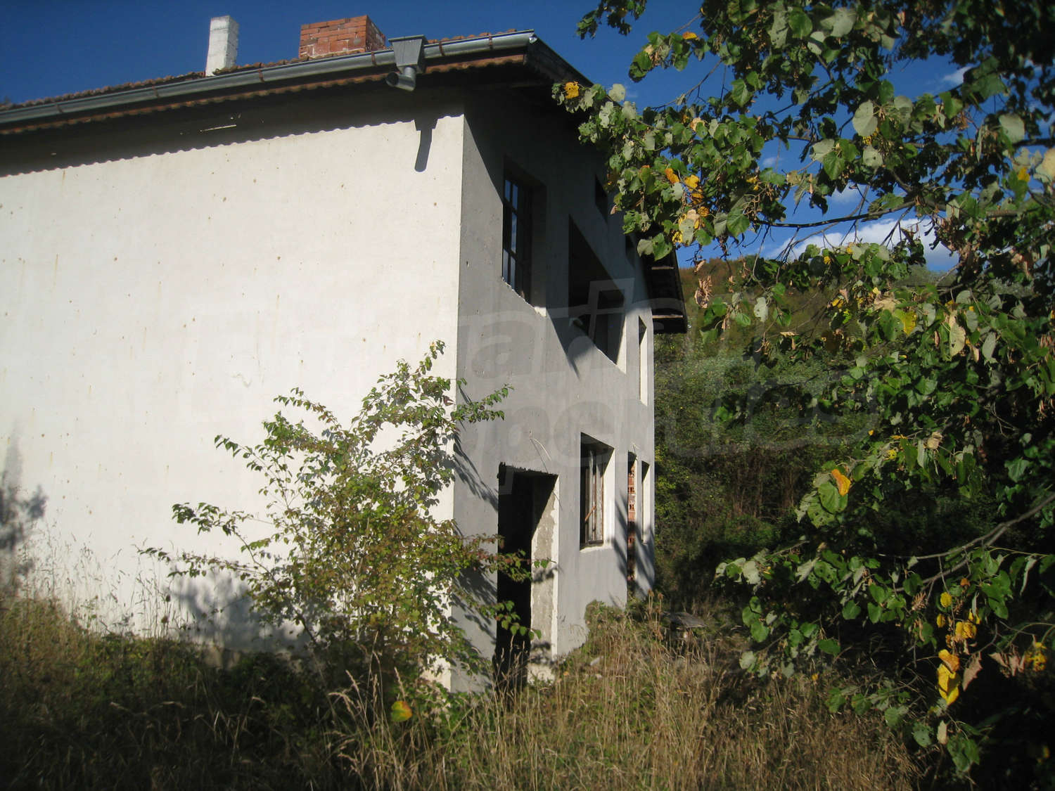 Gallery Picture 38