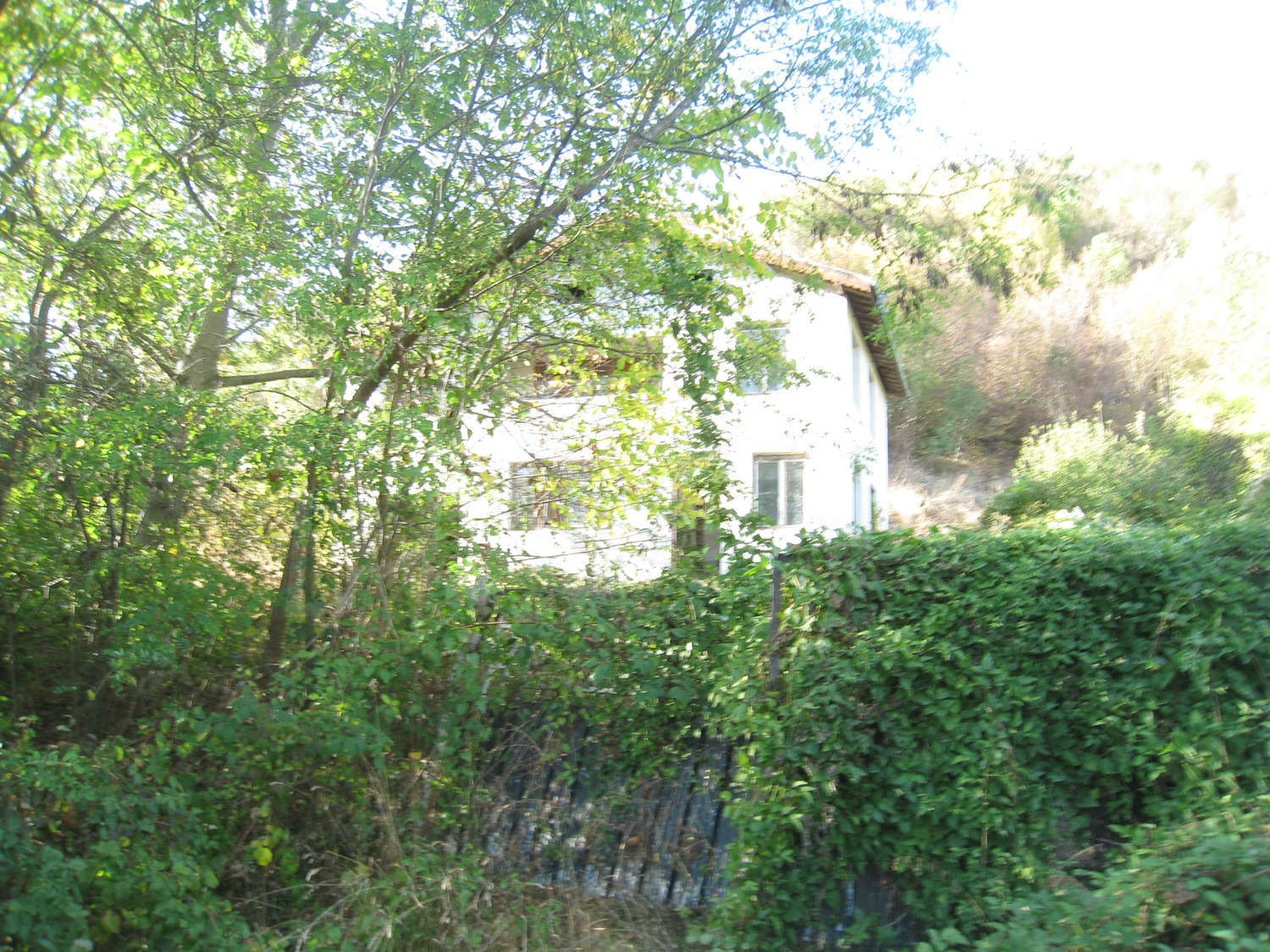 Gallery Picture 41