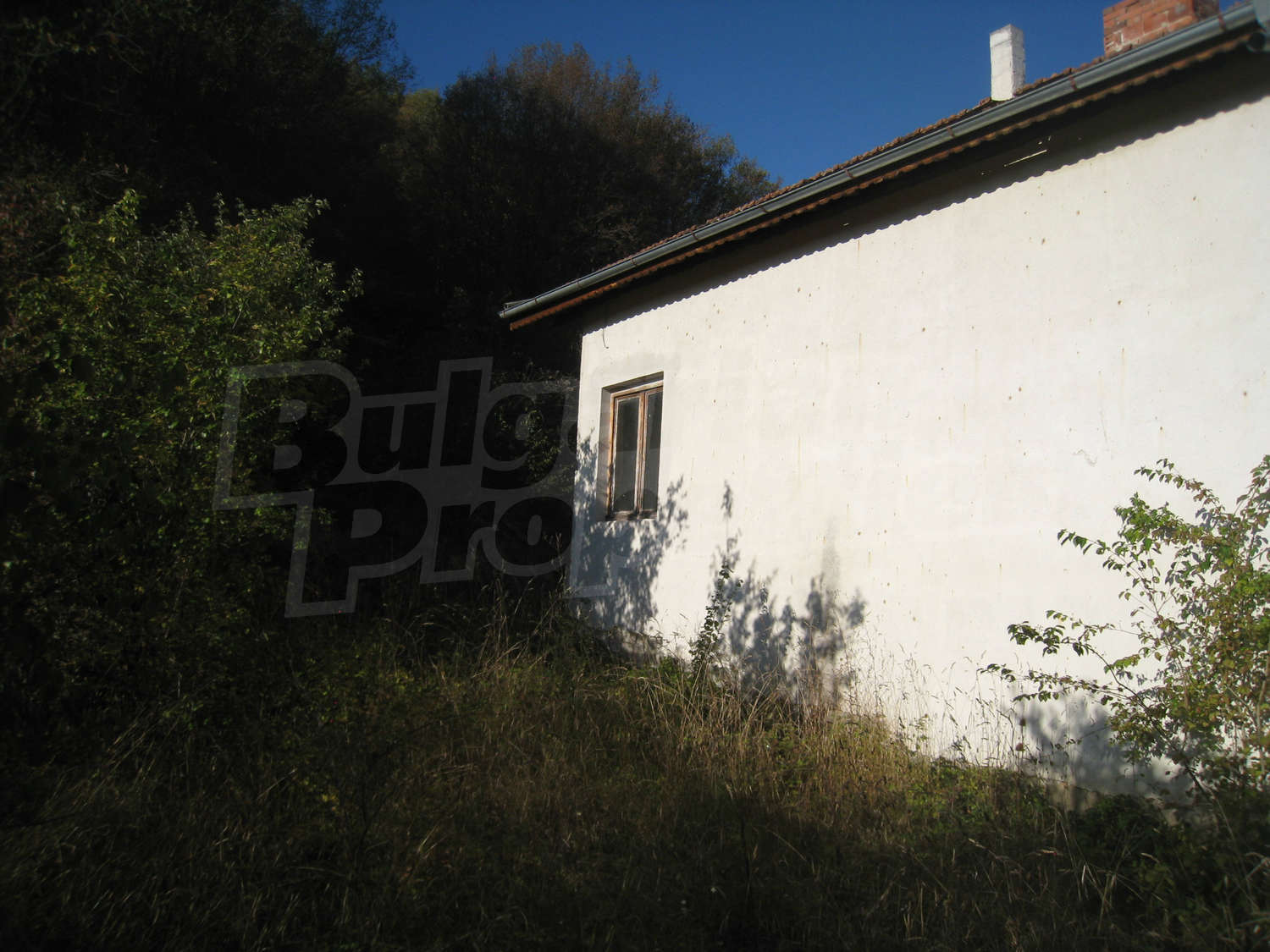 Gallery Picture 45