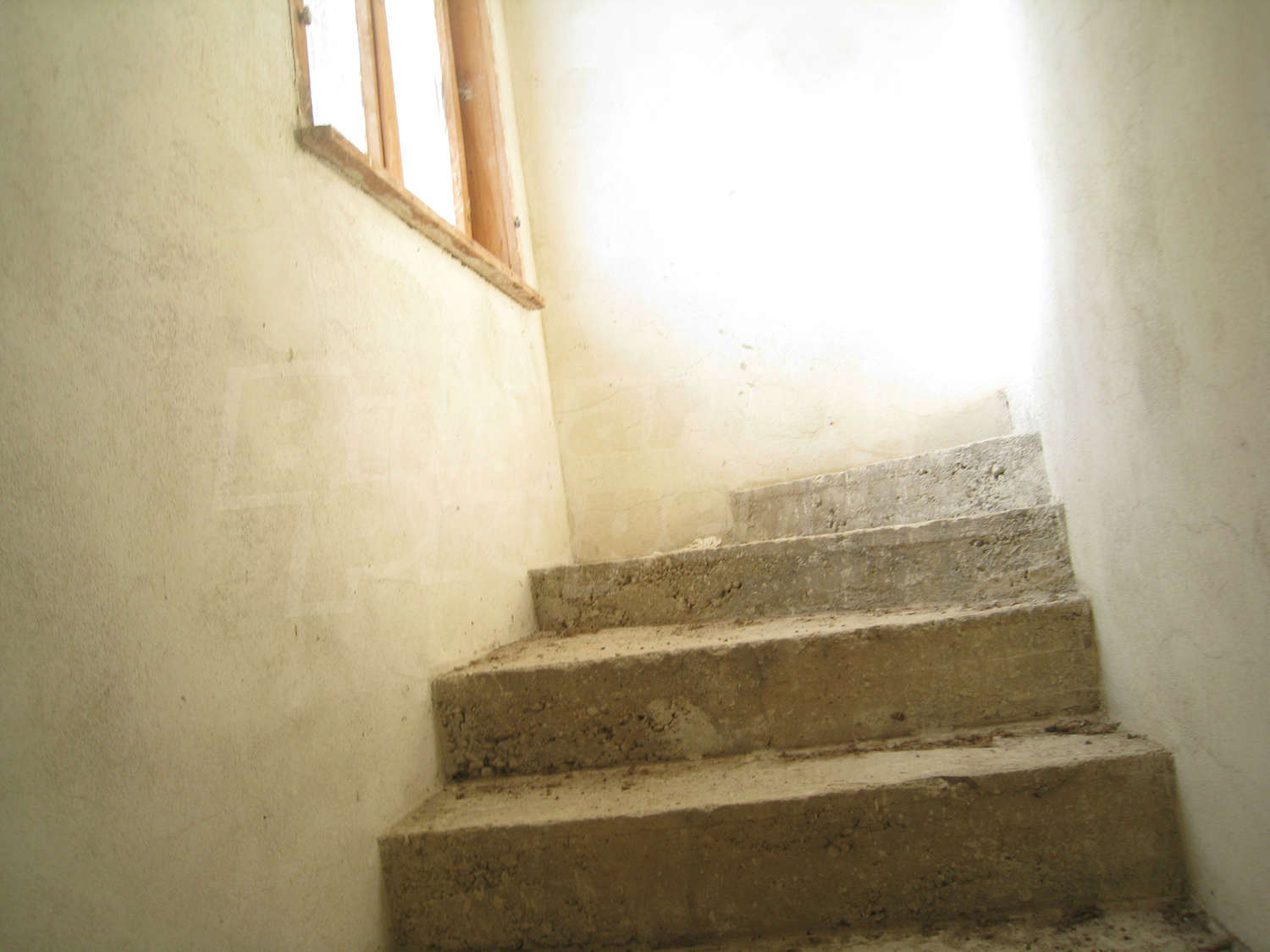Gallery Picture 6