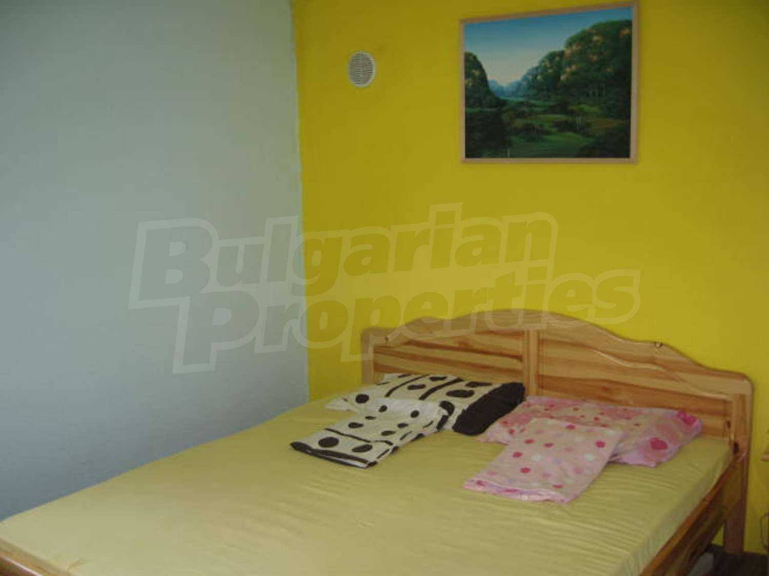 Gallery Picture 13