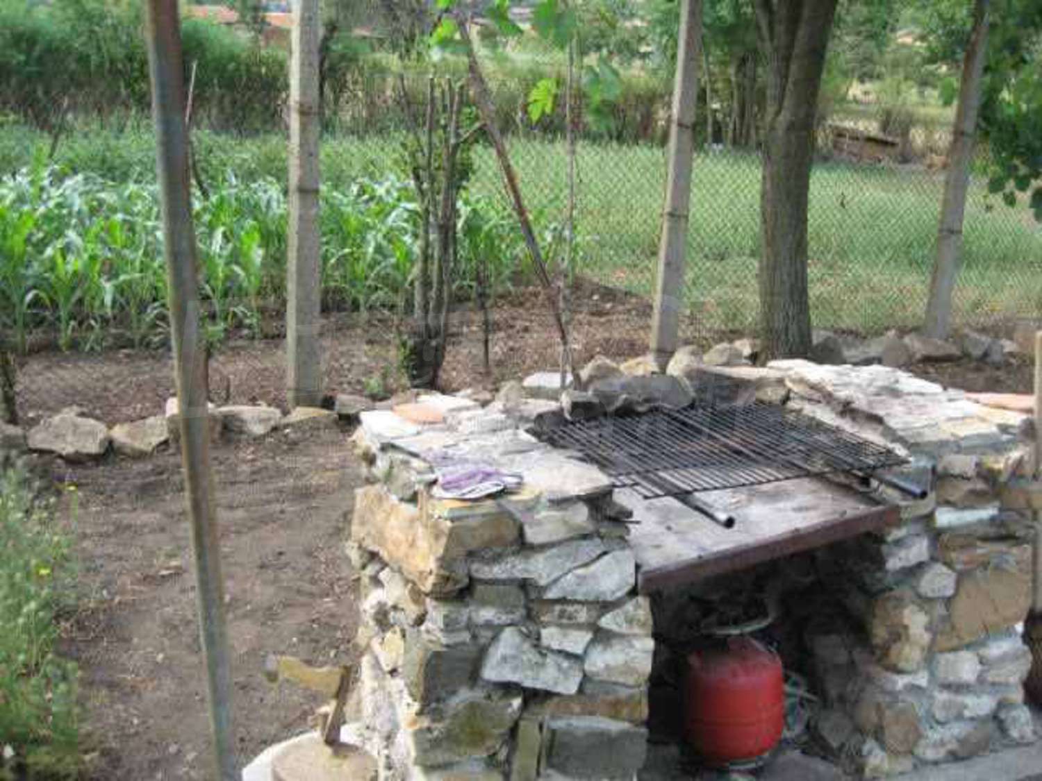 Gallery Picture 18