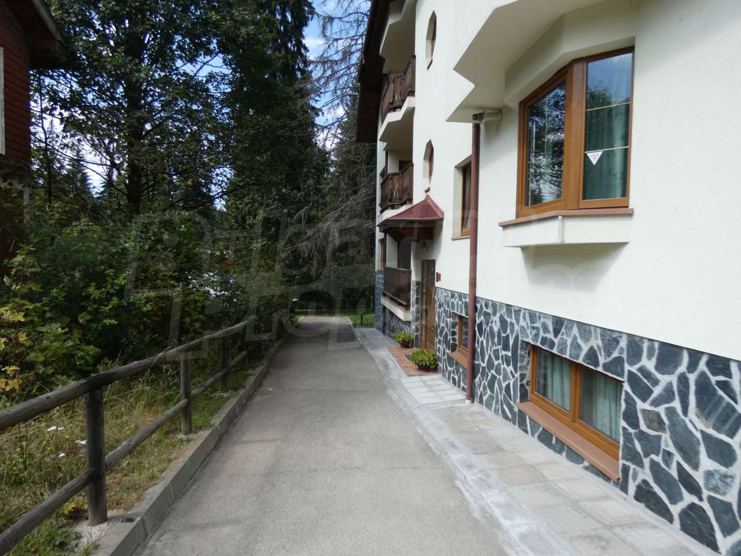 Gallery Picture 19