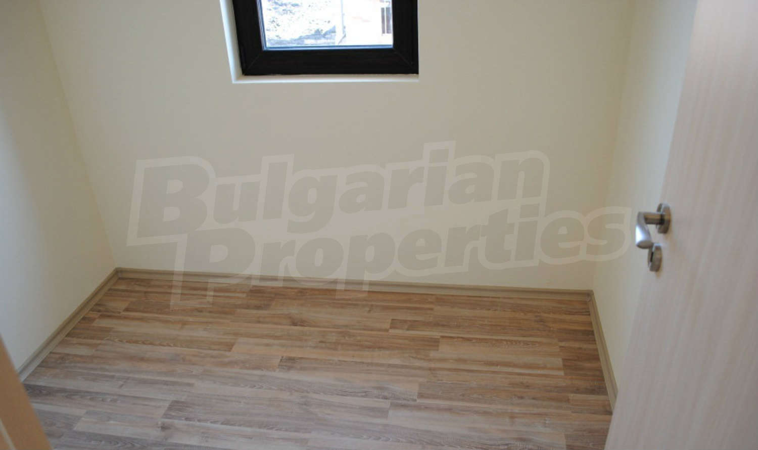 Gallery Picture 16