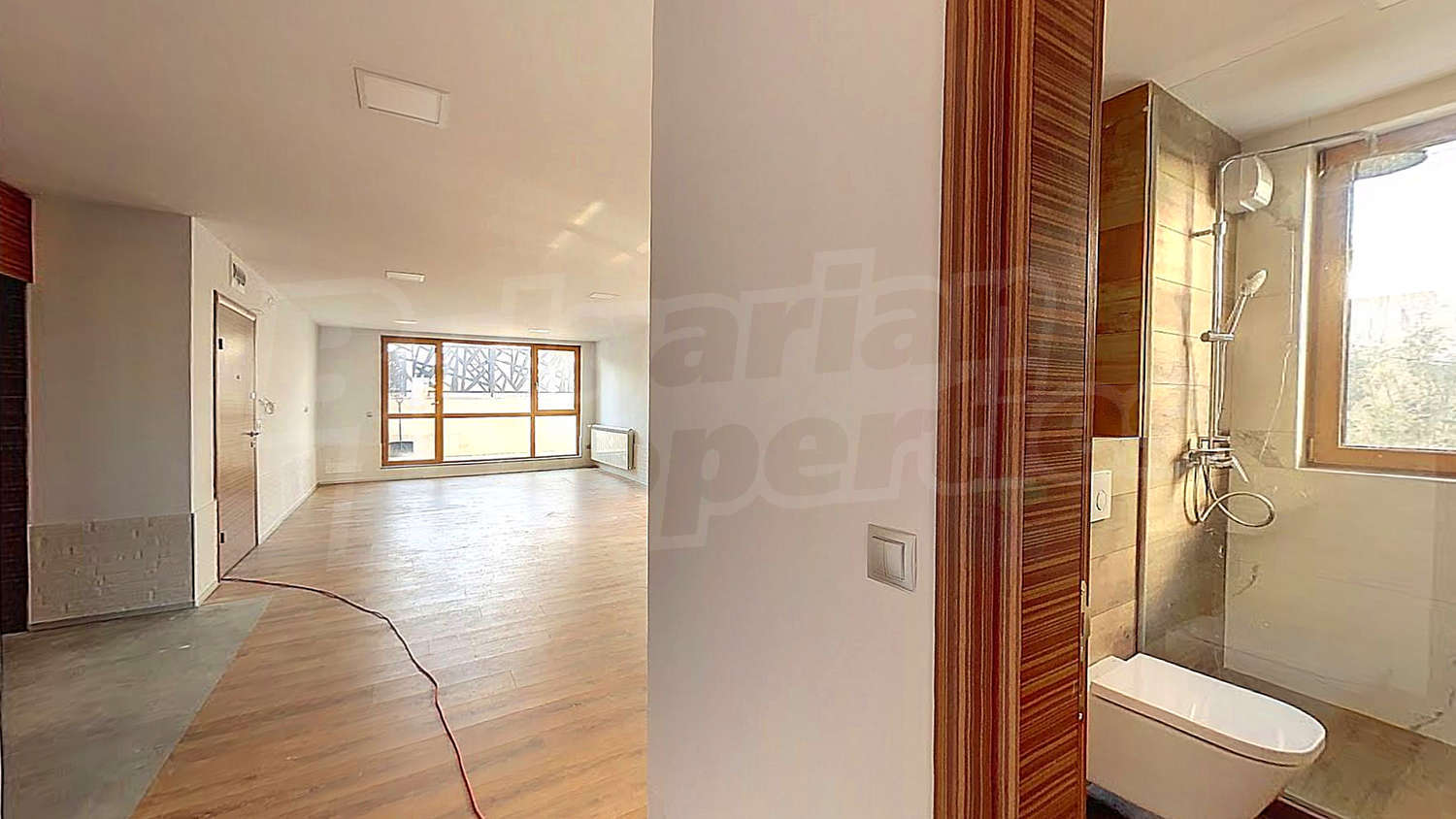 Gallery Picture 6
