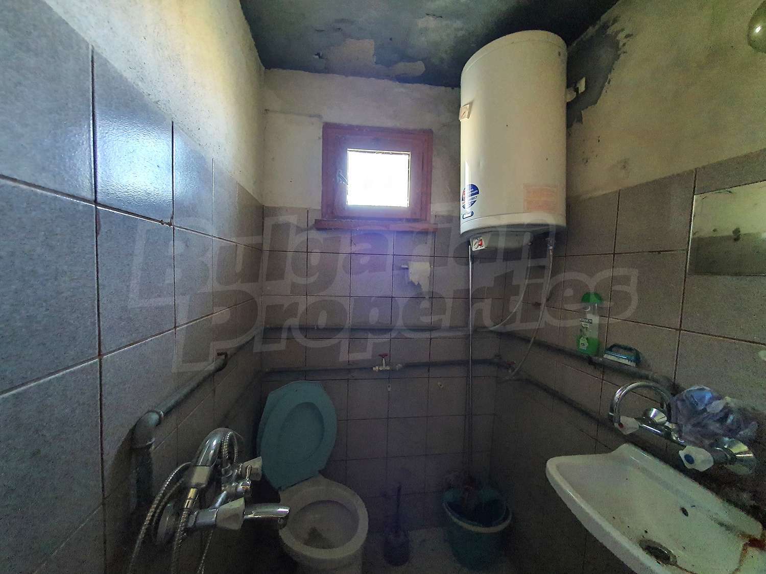 Gallery Picture 14