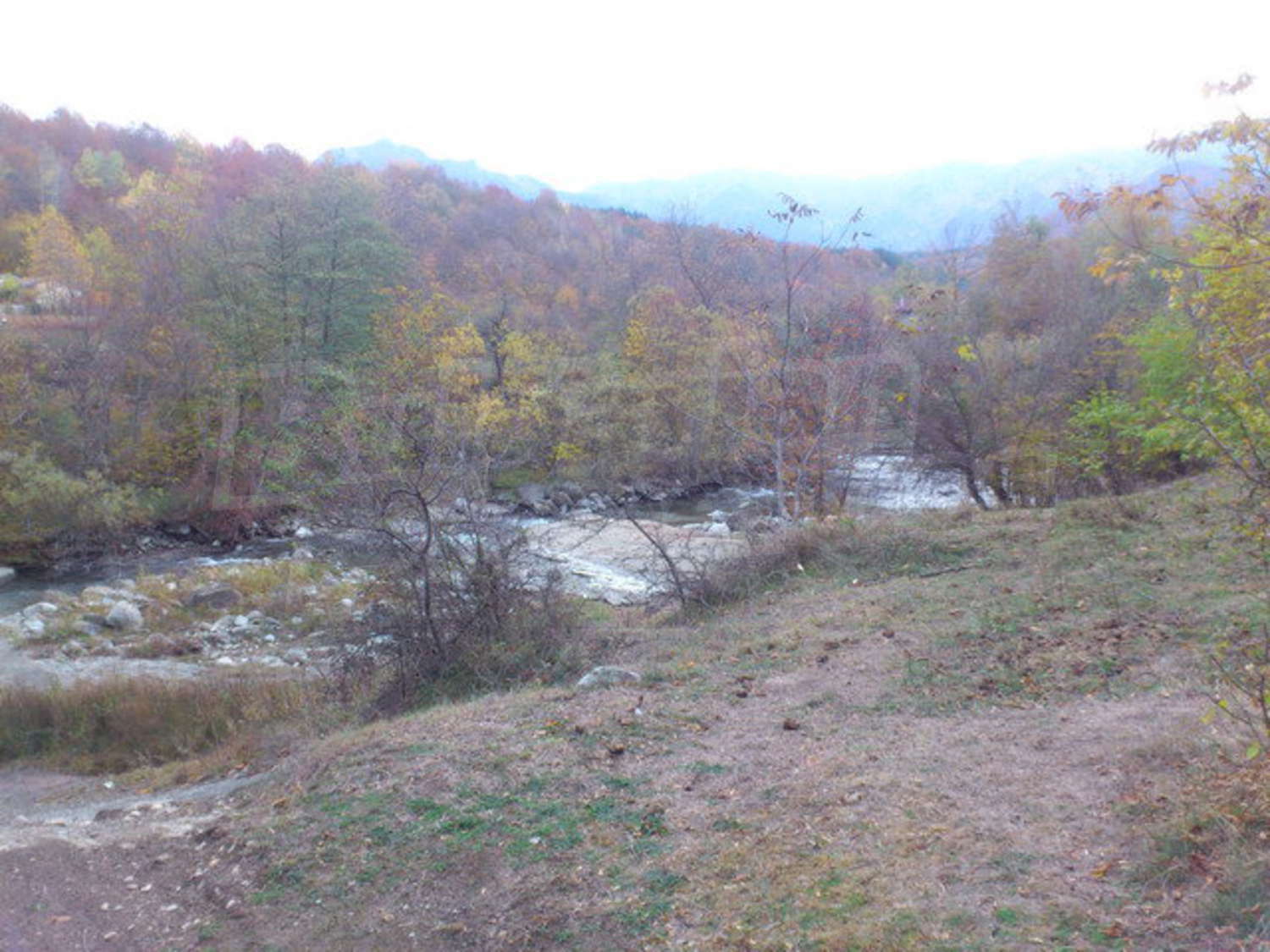 Gallery Picture 14