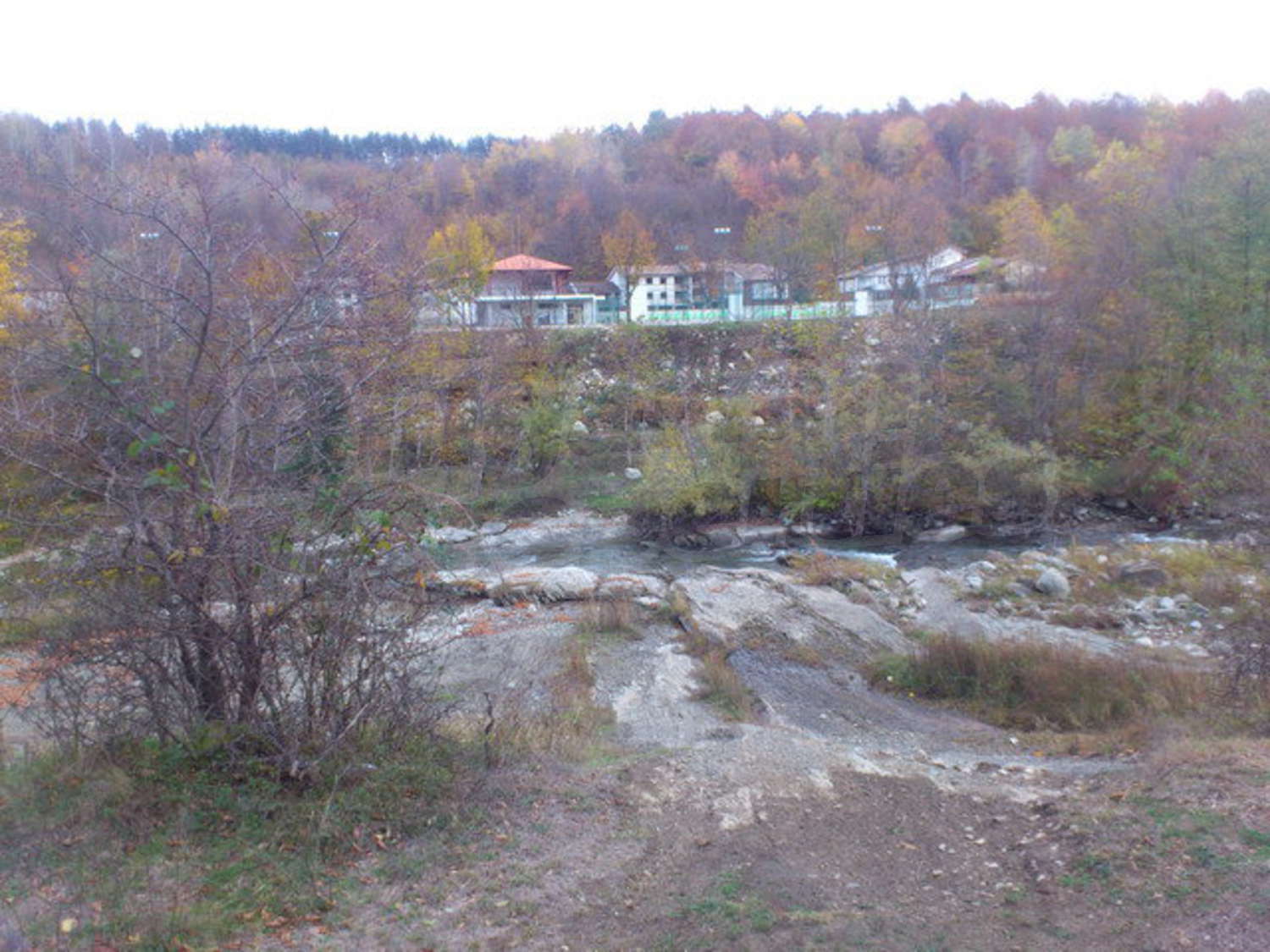Gallery Picture 15